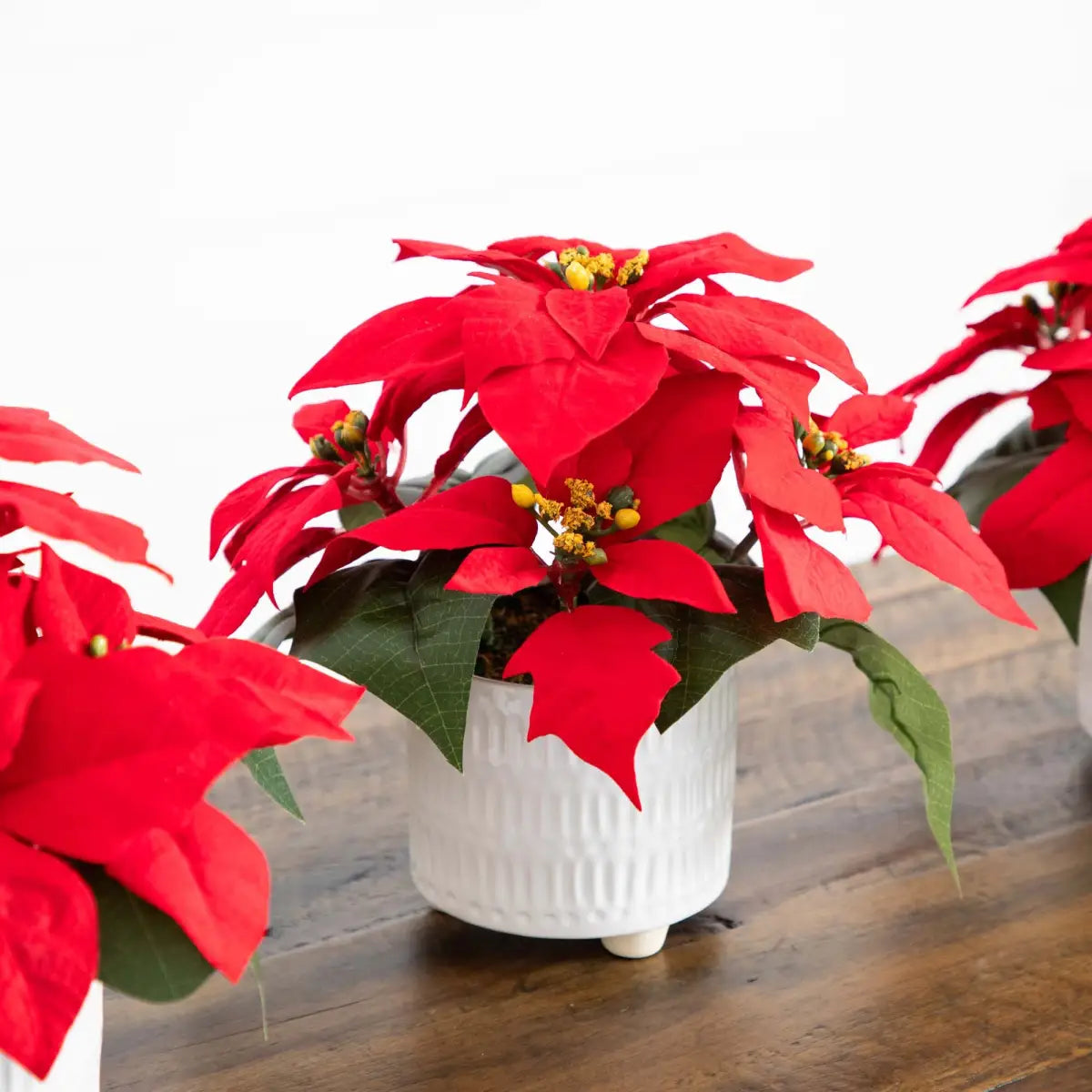 9” Artificial Poinsettia Arrangements in White Ceramic Pots - Set of 3 - Nearly Natural