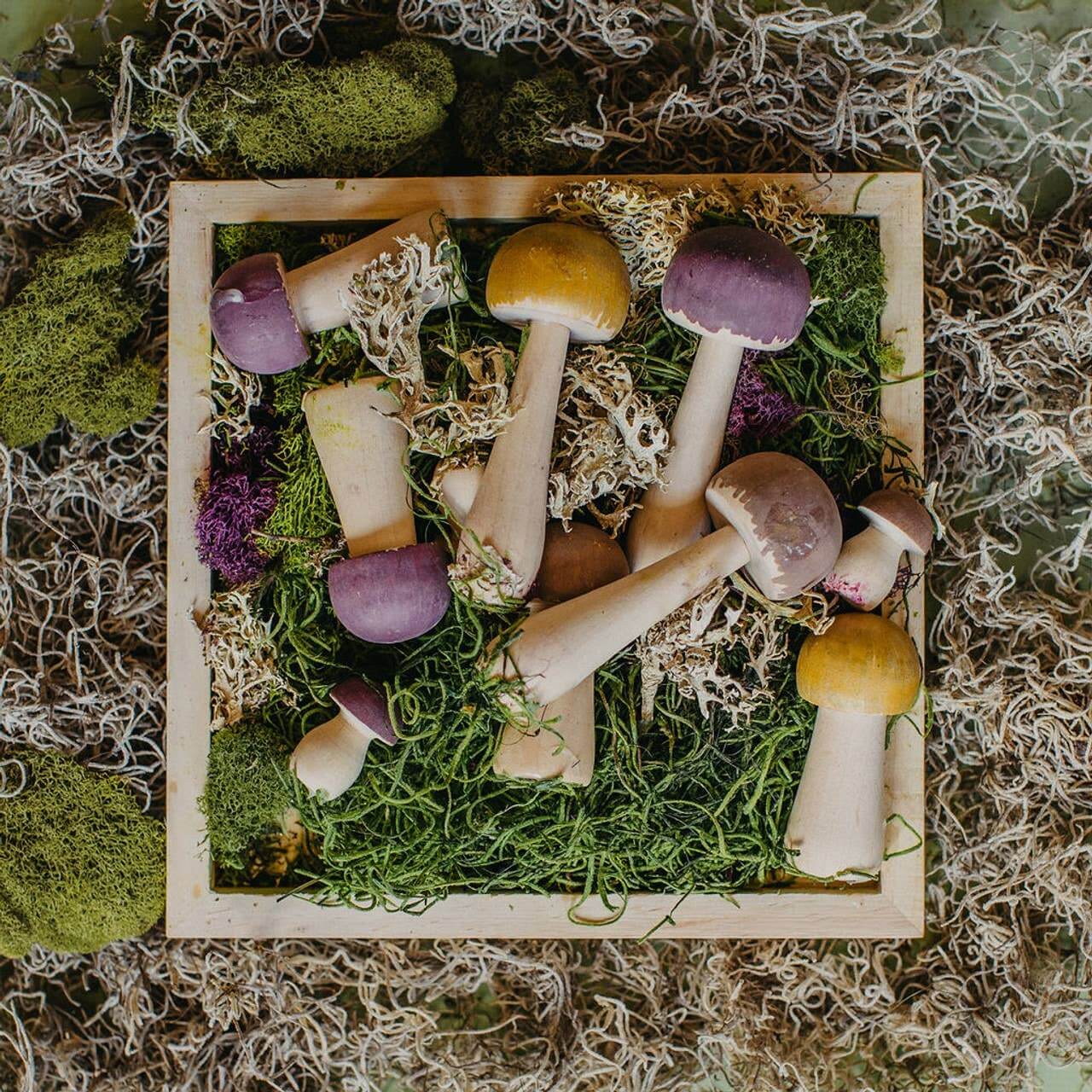 Wood Painted Mushrooms
