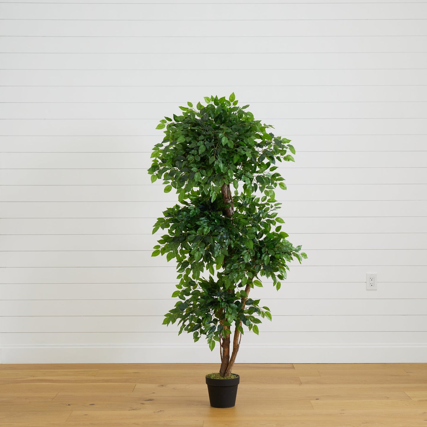 Árbol ficus artificial elegante de 6 pies