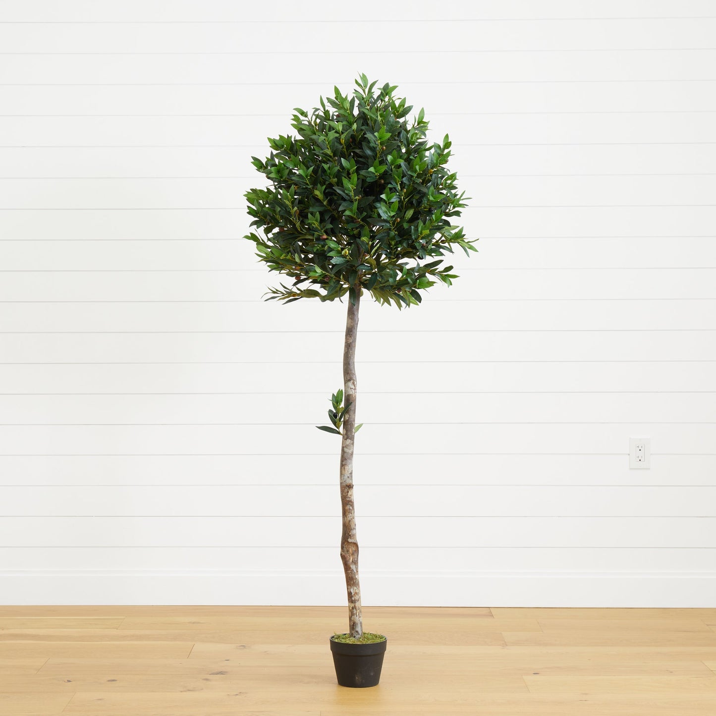 Árbol artificial topiario de olivo de 5,5 pies resistente a los rayos UV (interior/exterior)