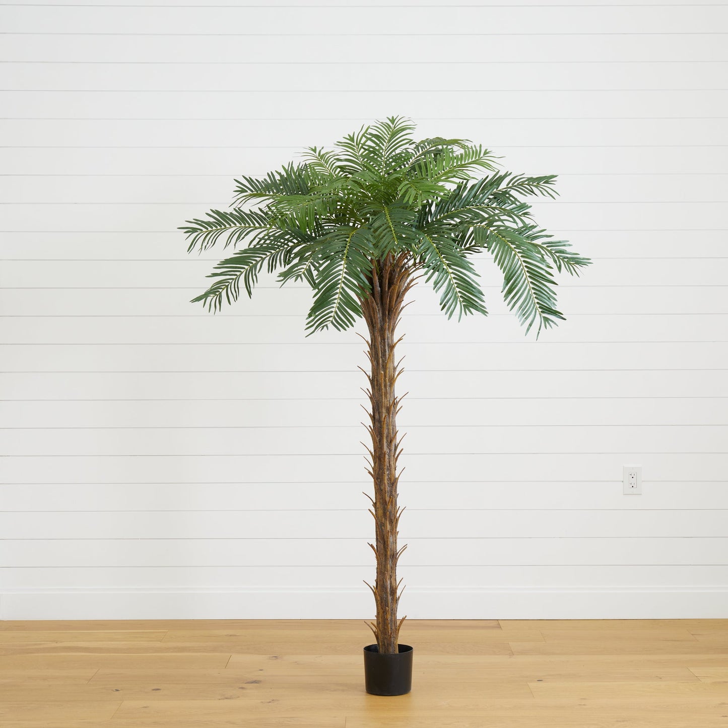 Palmier Cycas artificiel de 7 pieds