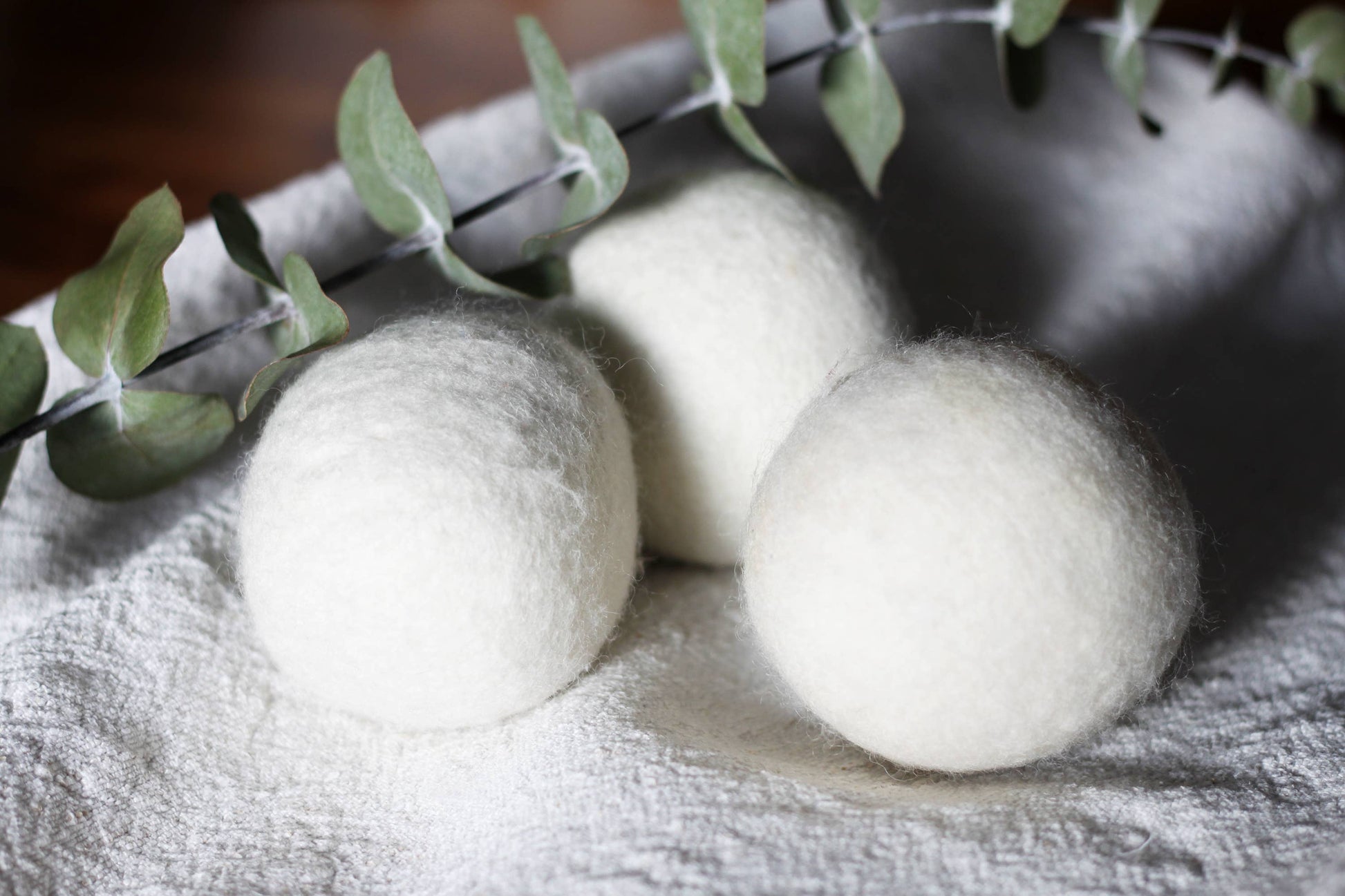 Eucalyptus & Lime laundry + diffuser fragrance oil