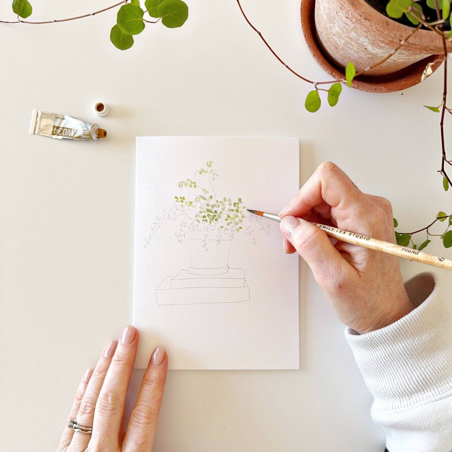 Potted Plants Paintable Notecards - emily lex studio