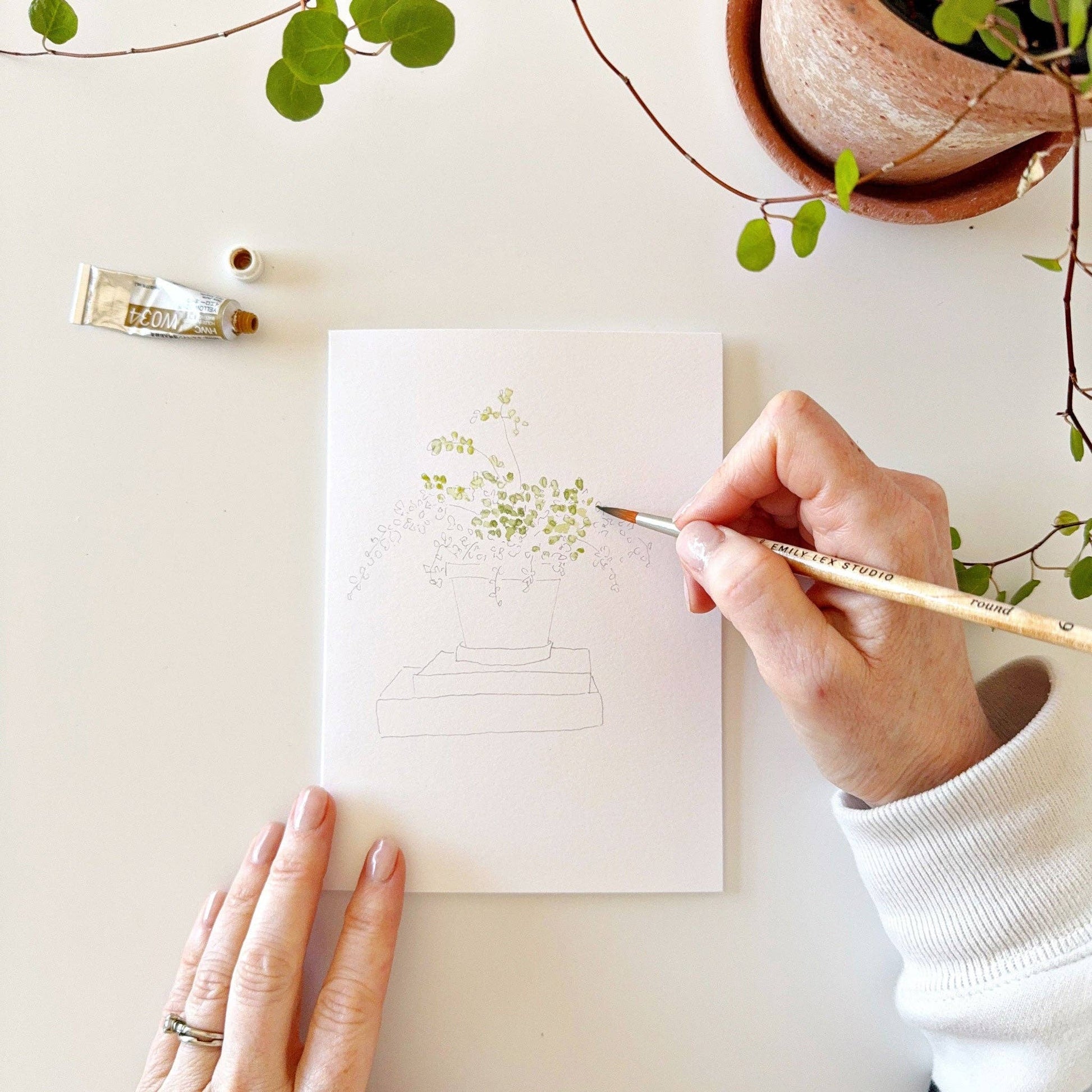 Potted Plants Paintable Notecards - emily lex studio