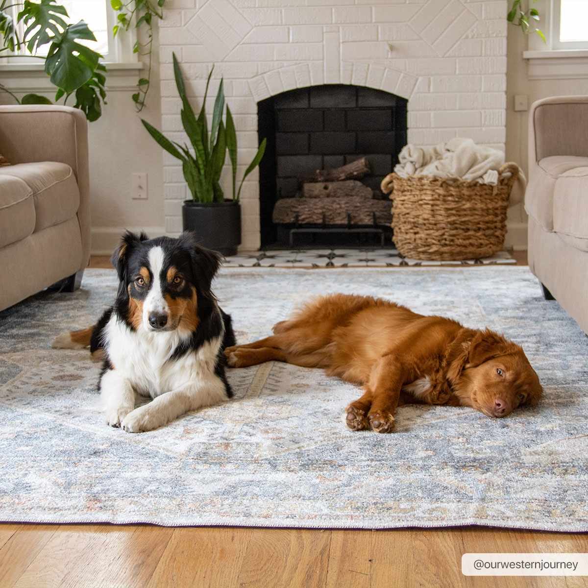 Afya Washable Area Rug - Boutique Rugs