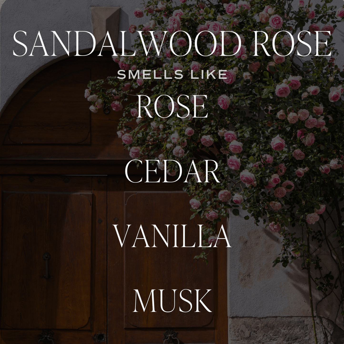 Sandalwood Rose Tinted Glass Jar Reed Diffuser