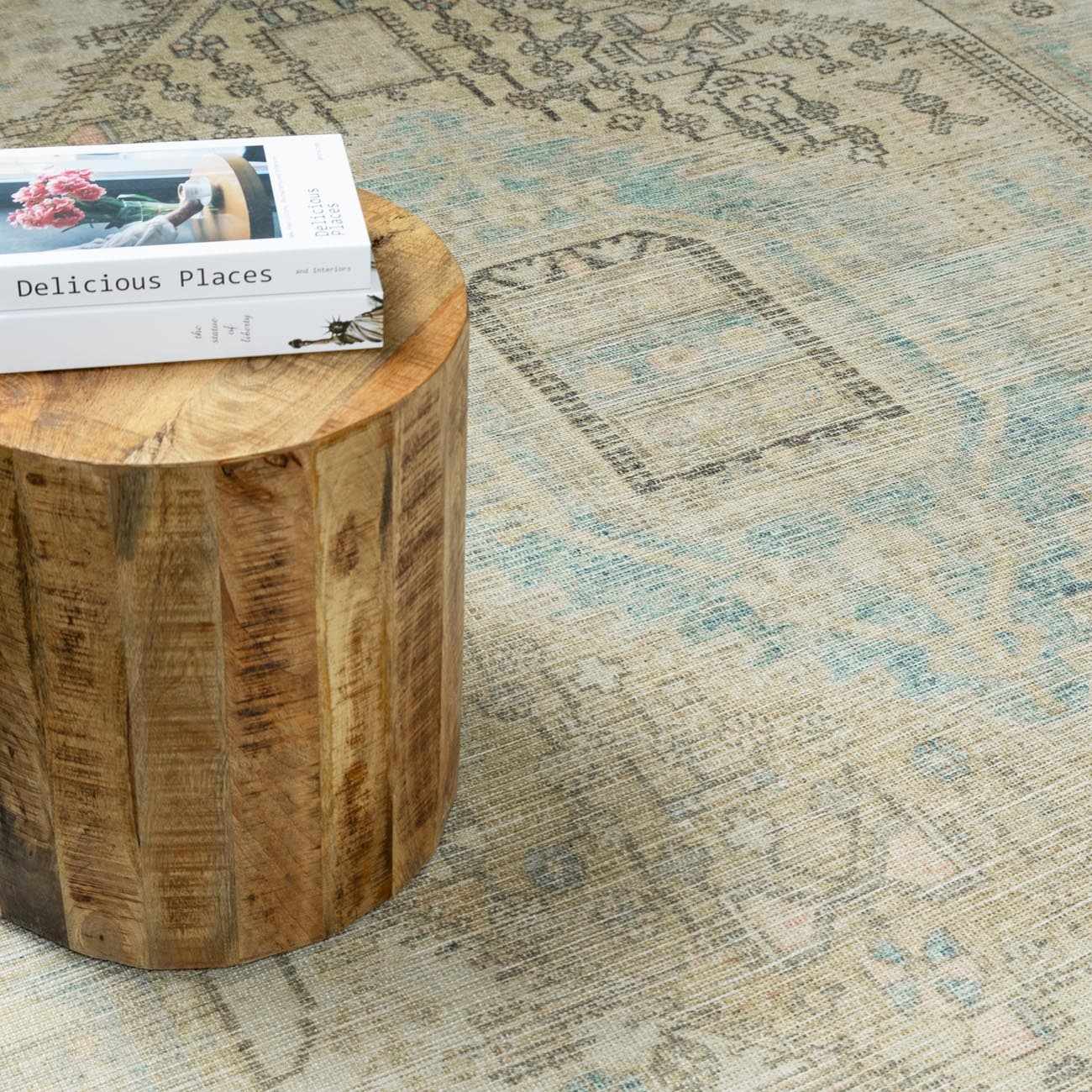 Light Brown and Blue Baloy Washable Area Rug - Boutique Rugs