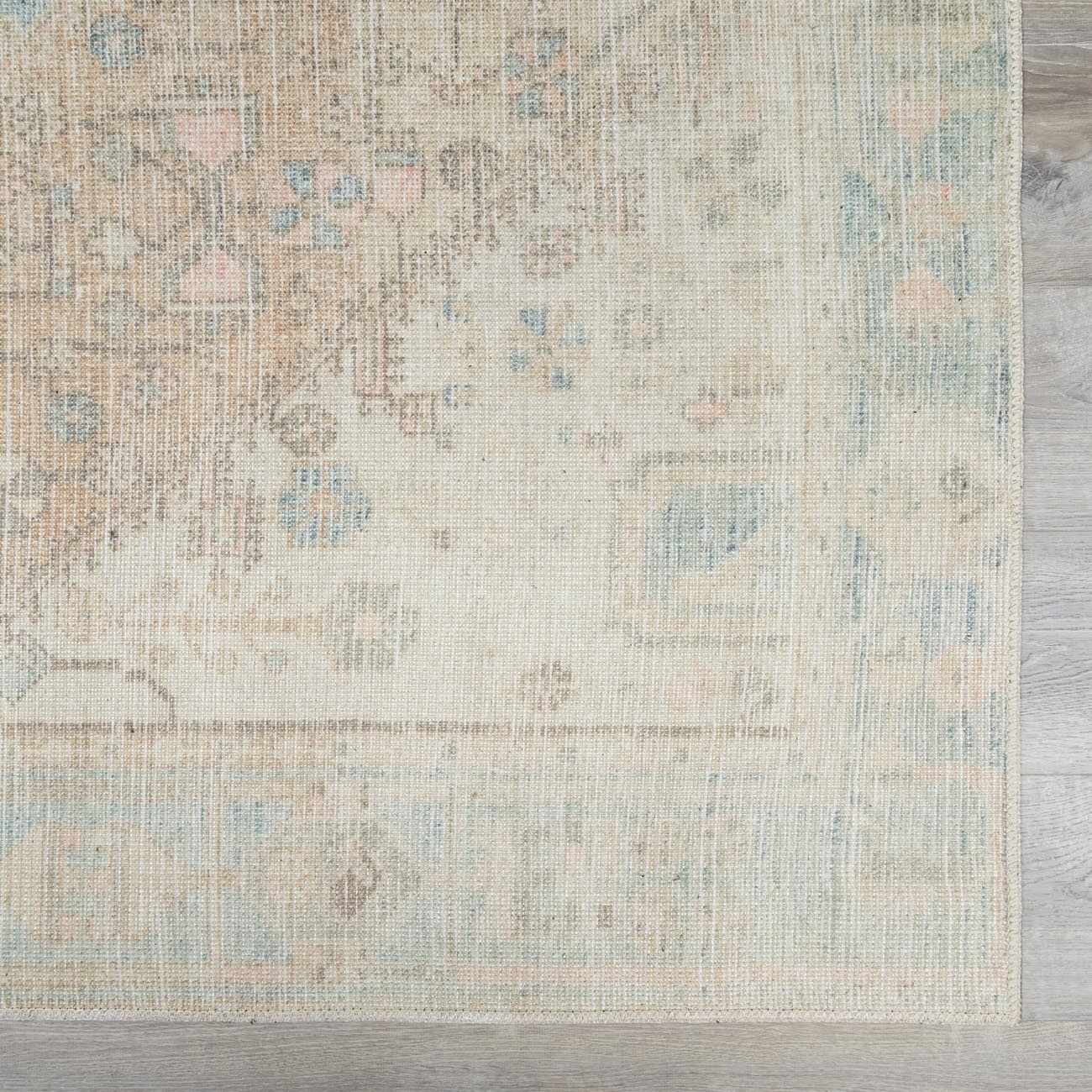 Light Brown and Blue Baloy Washable Area Rug - Boutique Rugs