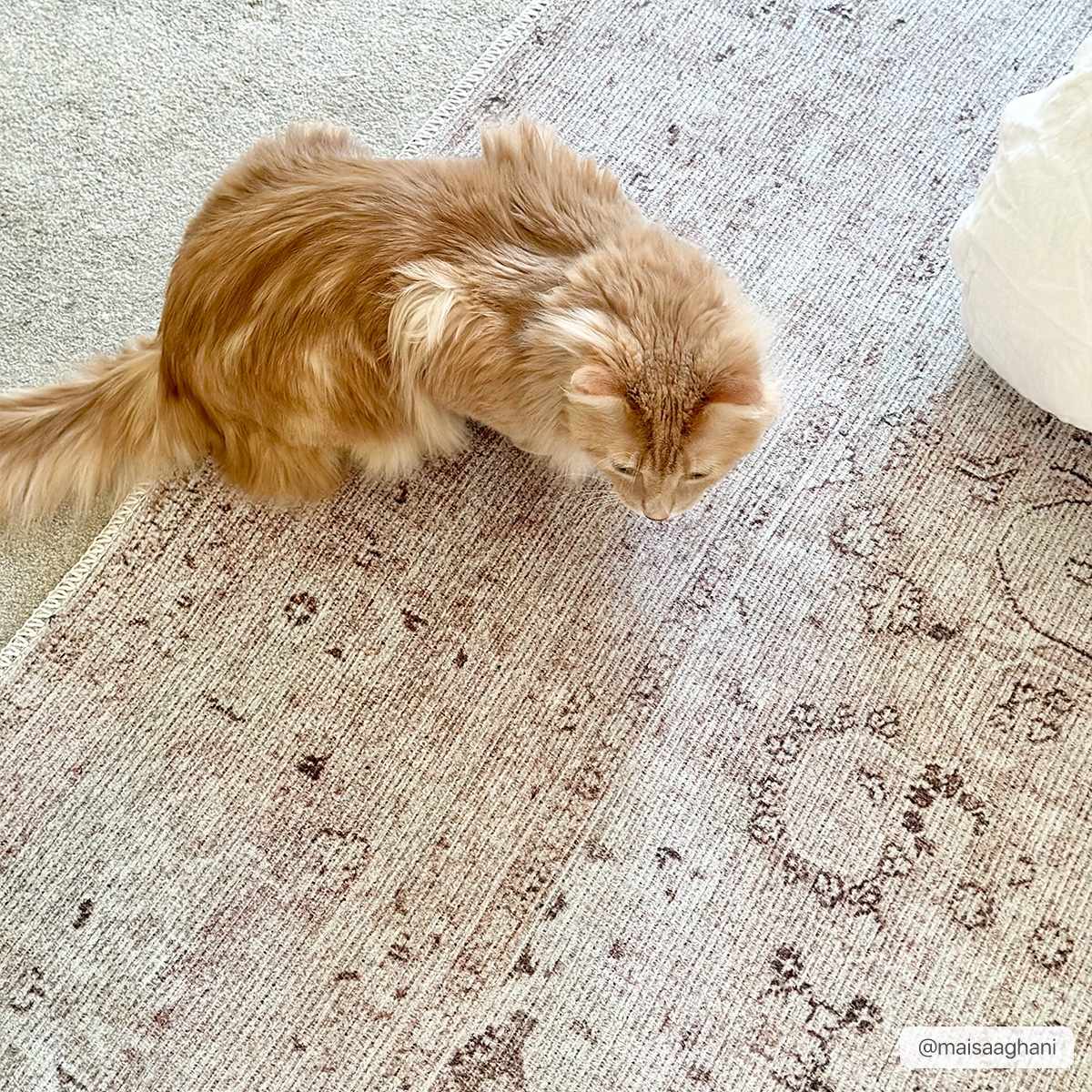 Bethany Washable Area Rug - Boutique Rugs