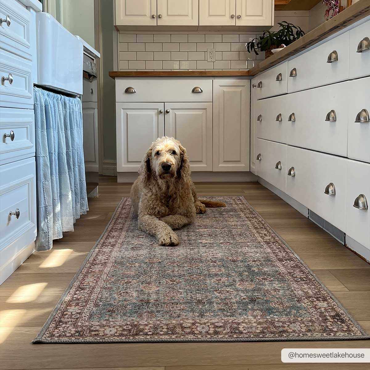 Dauis Blue Persian Style Washable Rug - 2’7’’ x 10’ Runner - Boutique Rugs