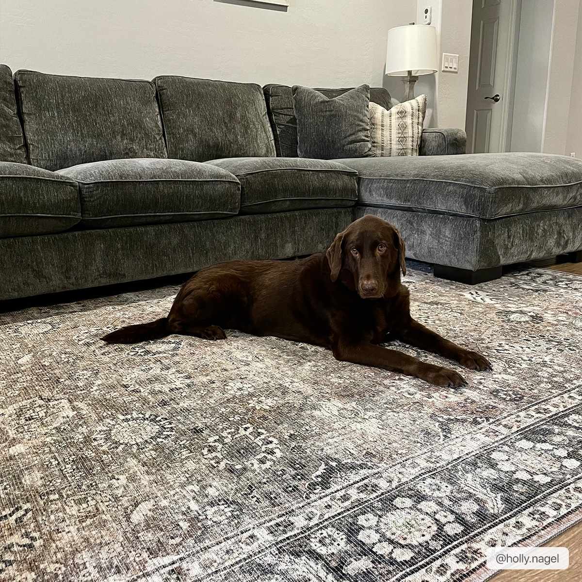 Ganyangan Washable Rug - Boutique Rugs