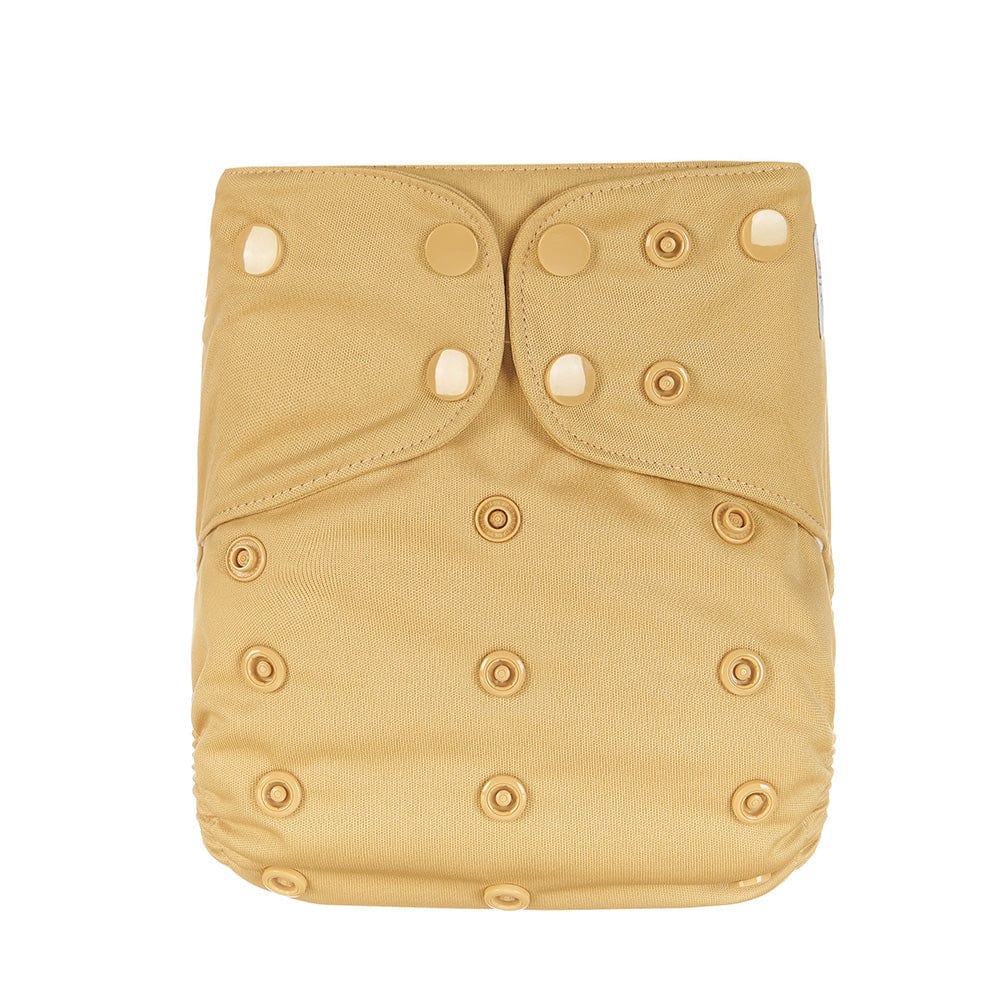 Earth & Pebble Size Up Pocket Diaper - Natural World Collection