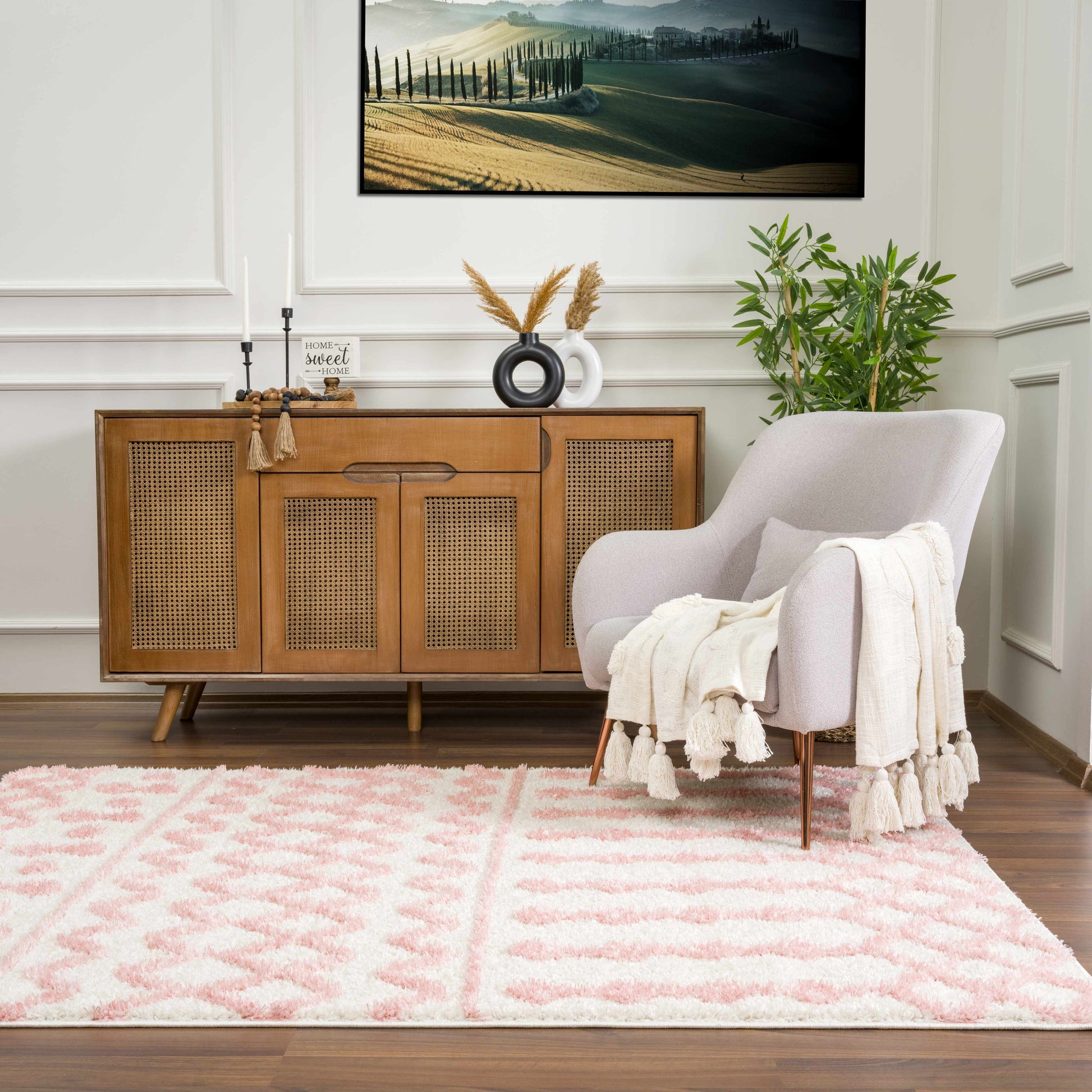 Darva Pink Plush Area Carpet - Boutique Rugs