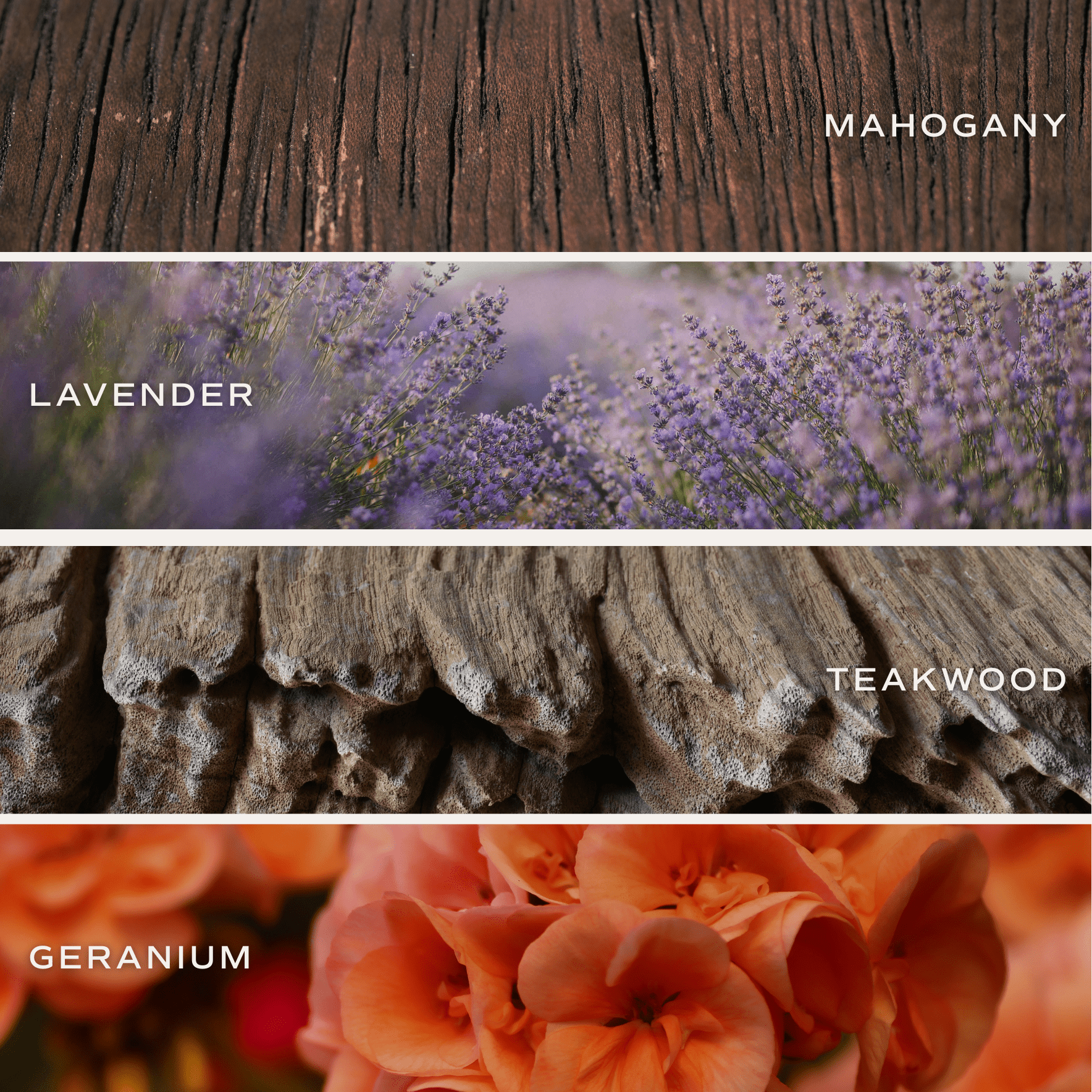 Driftwood and Mahogany Soy Candle - Amber Jar - 9 oz - Sweet Water Decor