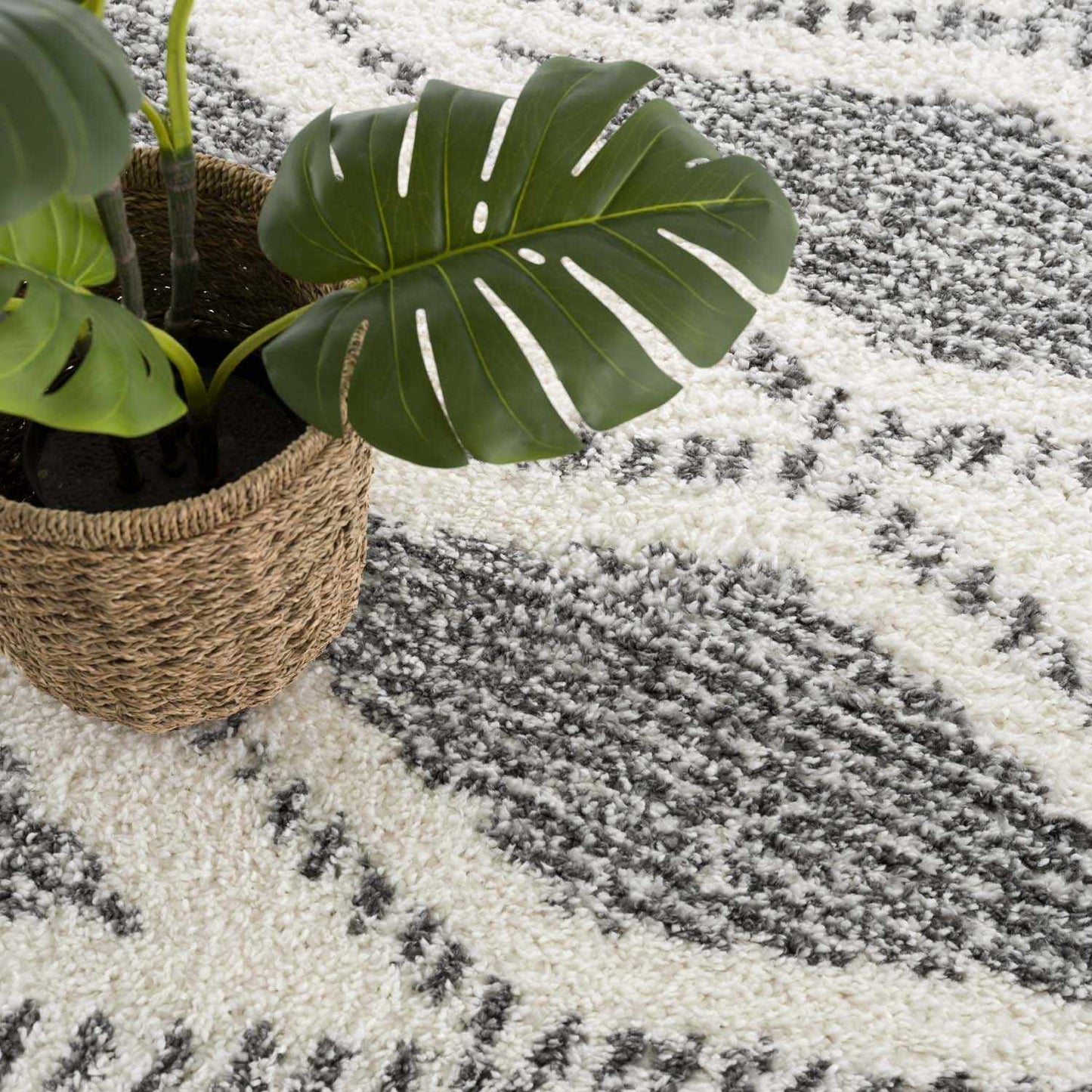 Trunding Plush Area Rug - Boutique Rugs