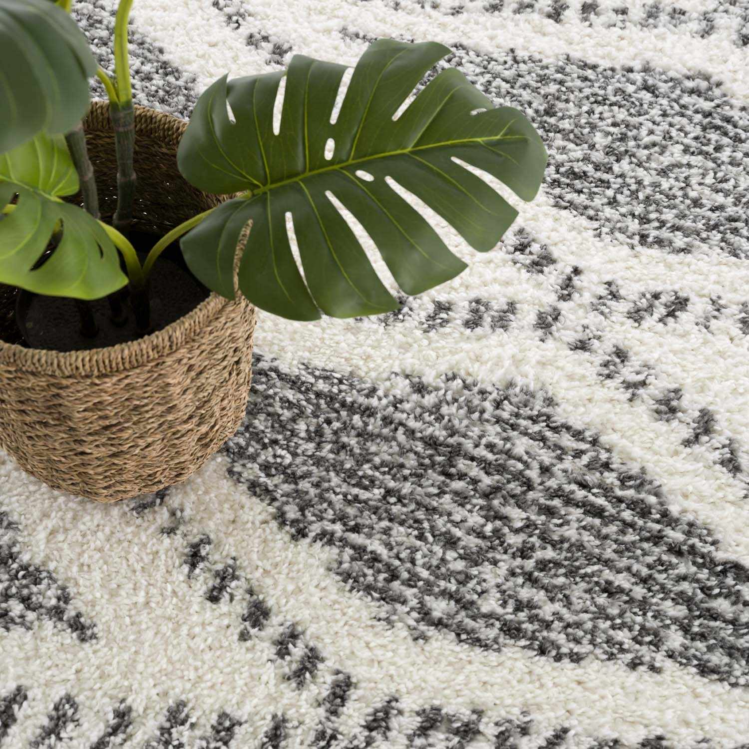 Trunding Plush Area Rug - Boutique Rugs