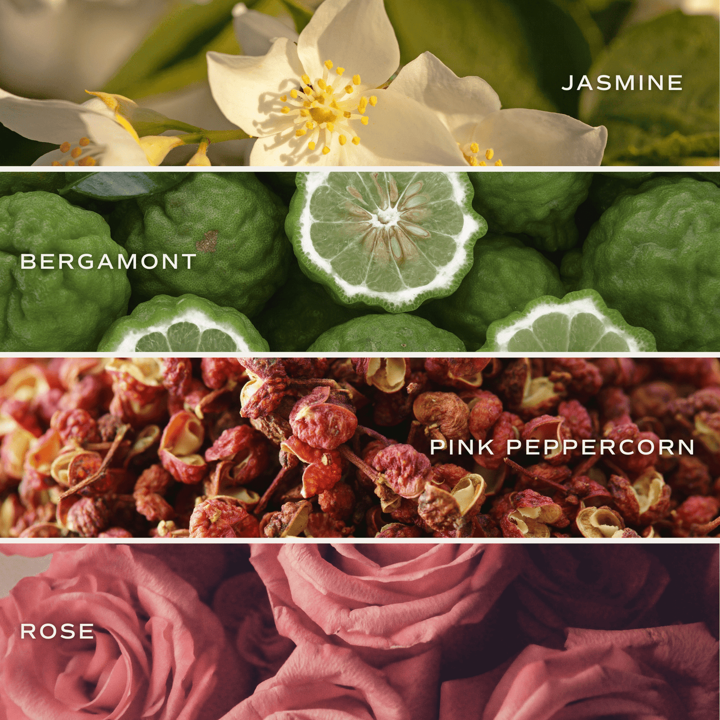 Vela de soja de Flower Shop, frasco blanco, 11 oz