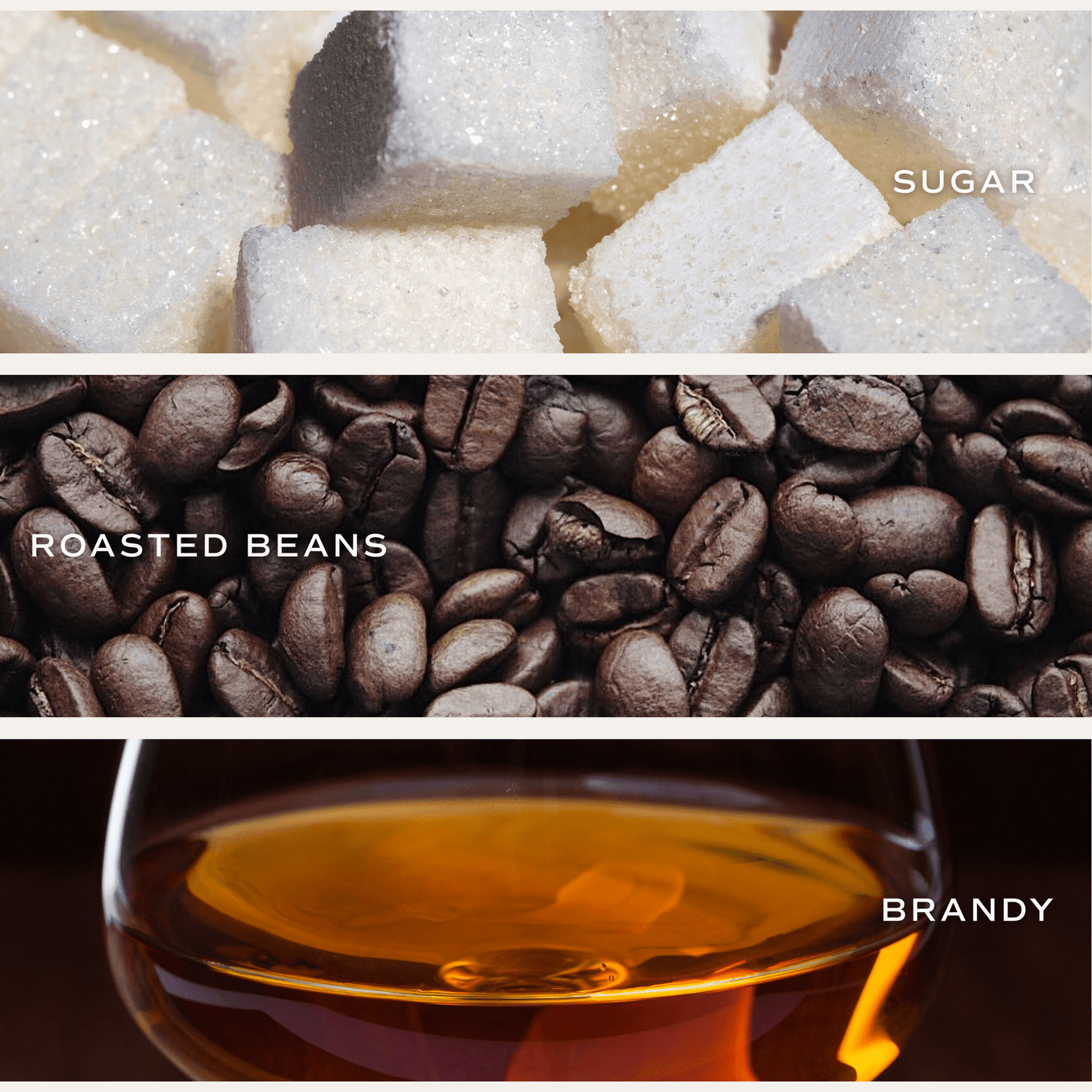 Bougie au soja Fresh Coffee - Pot blanc - 11 oz 