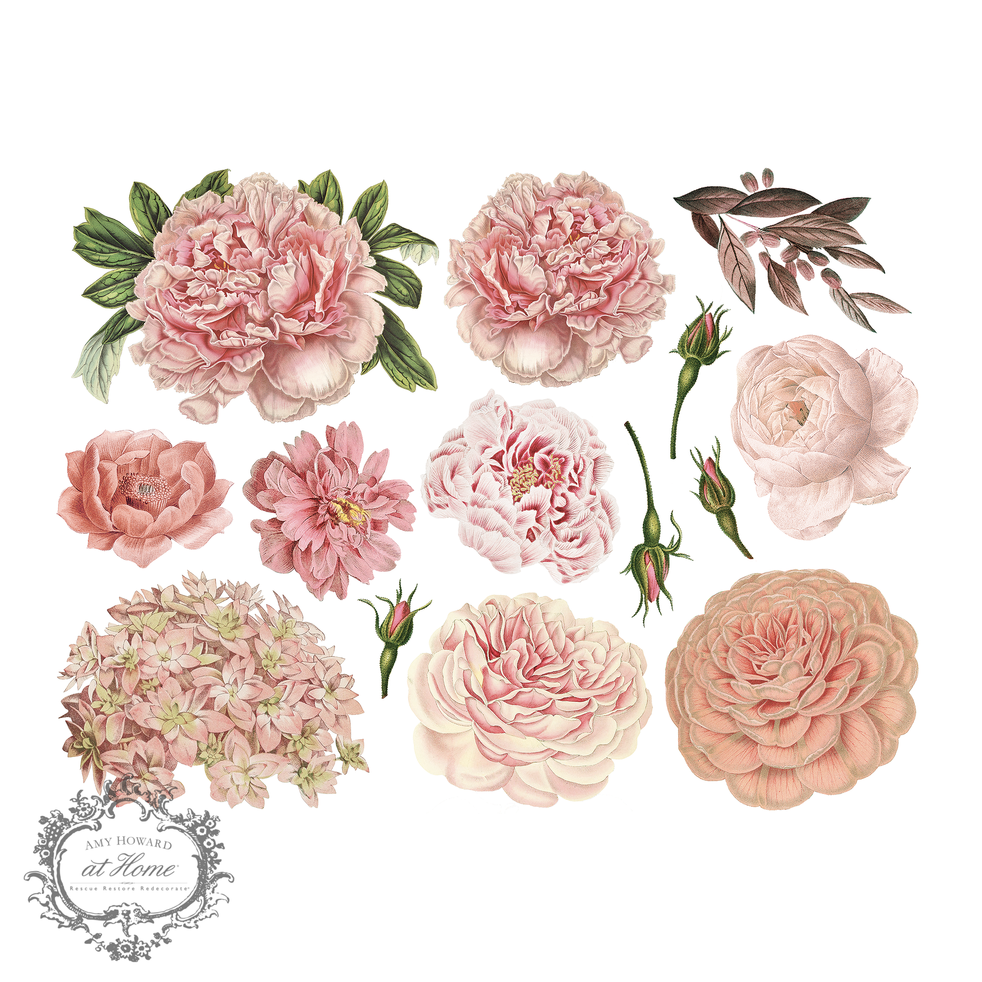 Full Bloom - Color Transfer 16’’x12’’ - Amy Howard At Home