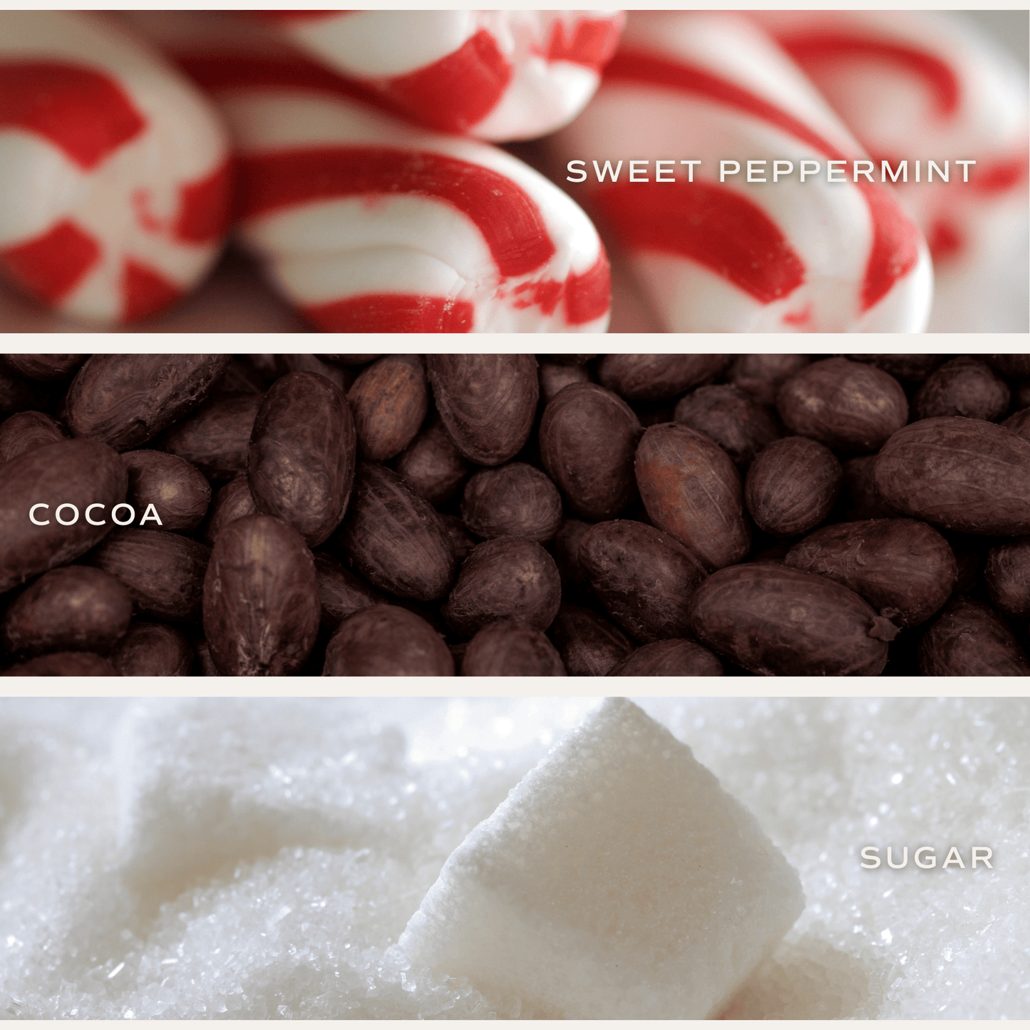 Hot Cocoa and Peppermint Soy Candle - Clear Jar - 9 oz - Sweet Water Decor