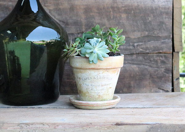 Amy Howard Toscana Milk Paint