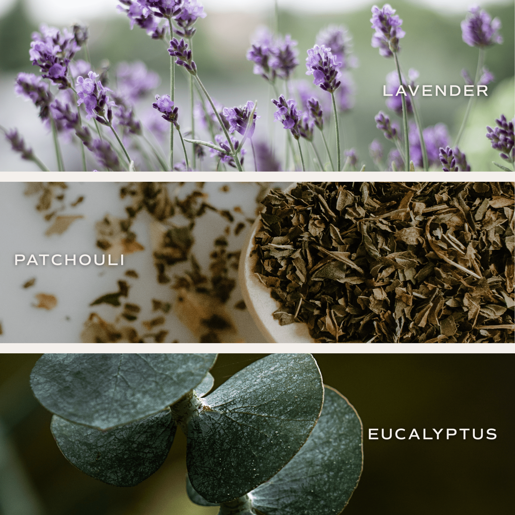 Self Care Soy Candle - Clear Jar - 9 oz - Sweet Water Decor