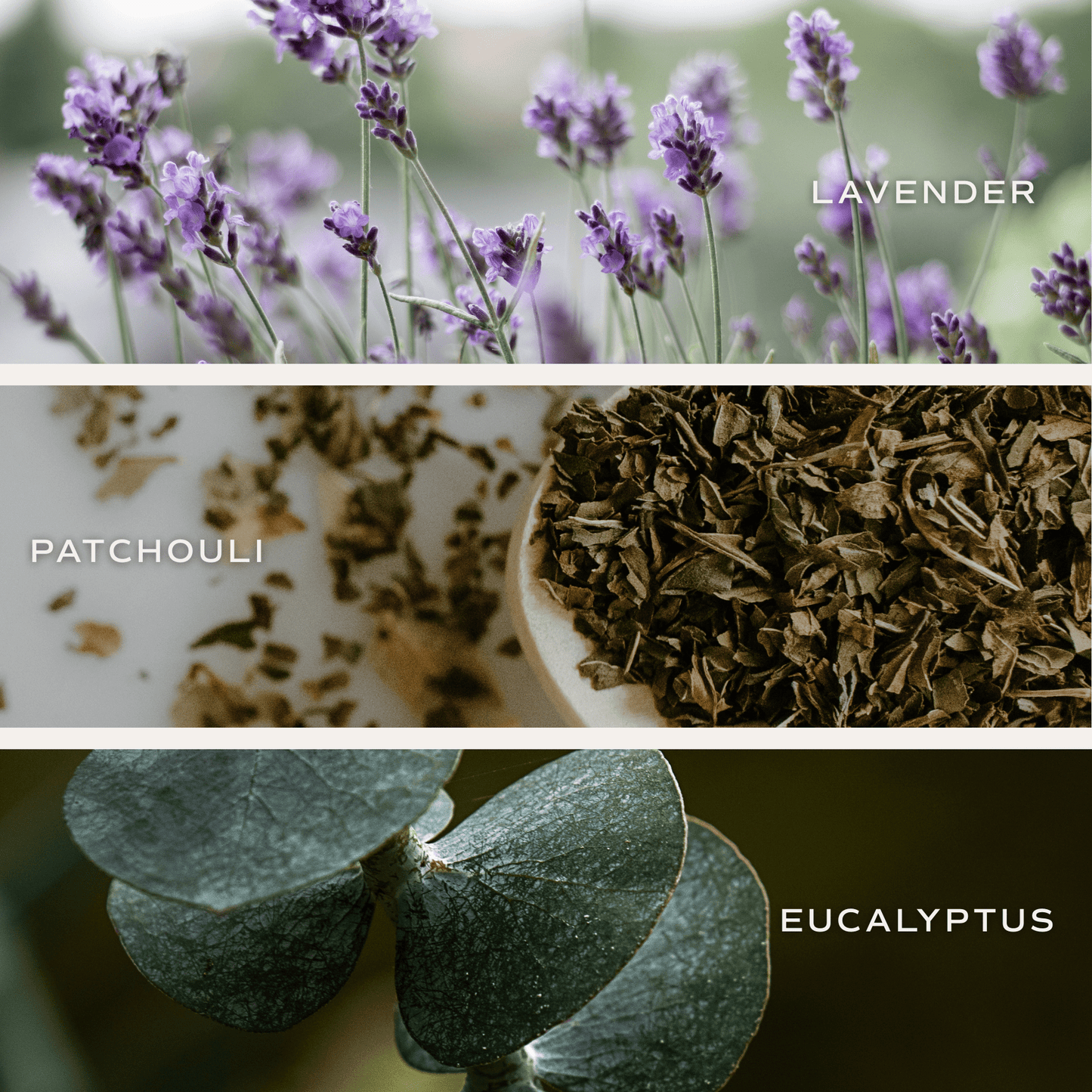 Bougie de soja à la lavande et à l'eucalyptus - Pot transparent - 9 oz