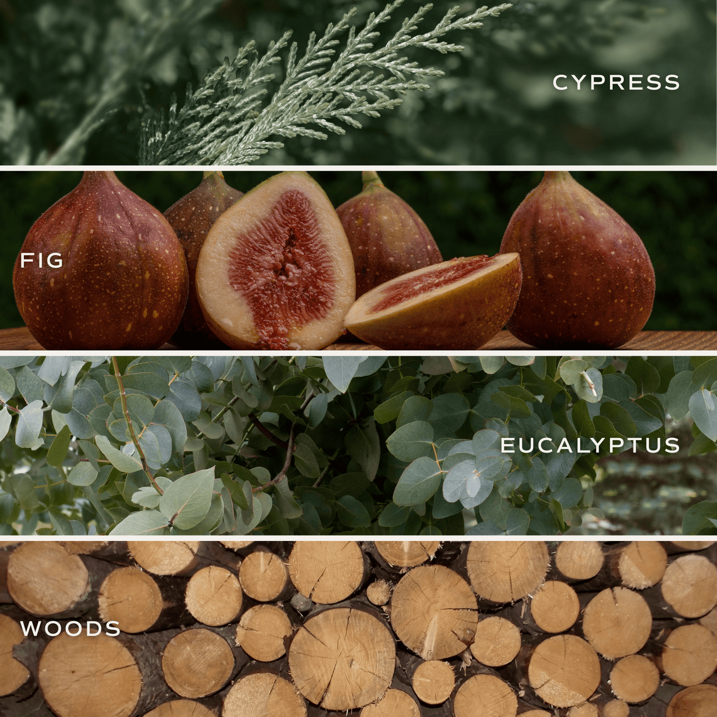 Vela de soja Enchanted Forest, frasco verde mate, 15 oz (ciprés e higo)