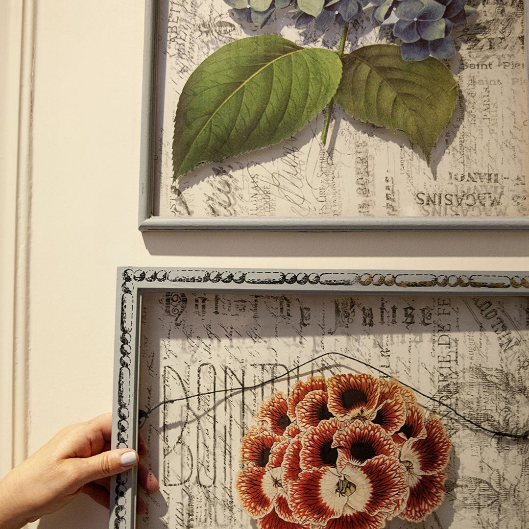 Flowers - Hydrangea - Color Transfer - 24” x 22” - Amy Howard At Home