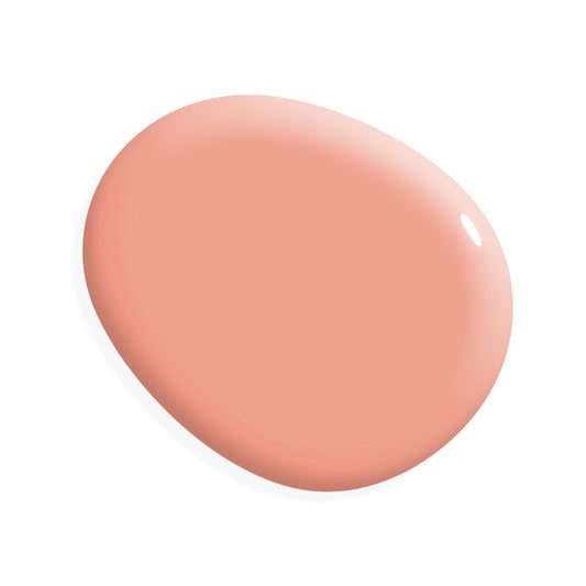 Miracle Paint - Coral (32 oz) - Amy Howard At Home