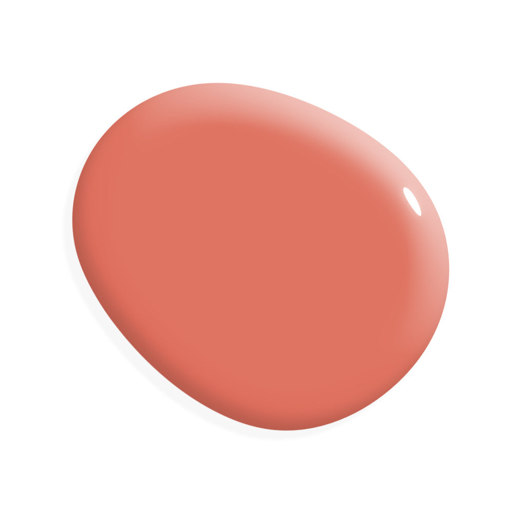 One Step Paint - Coral Sea - Amy Howard At Home