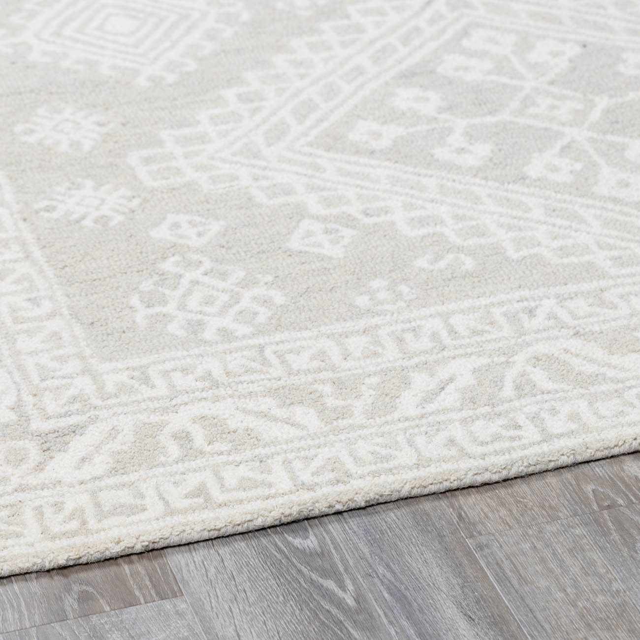Light Gray Traditional Area Rug - Boutique Rugs