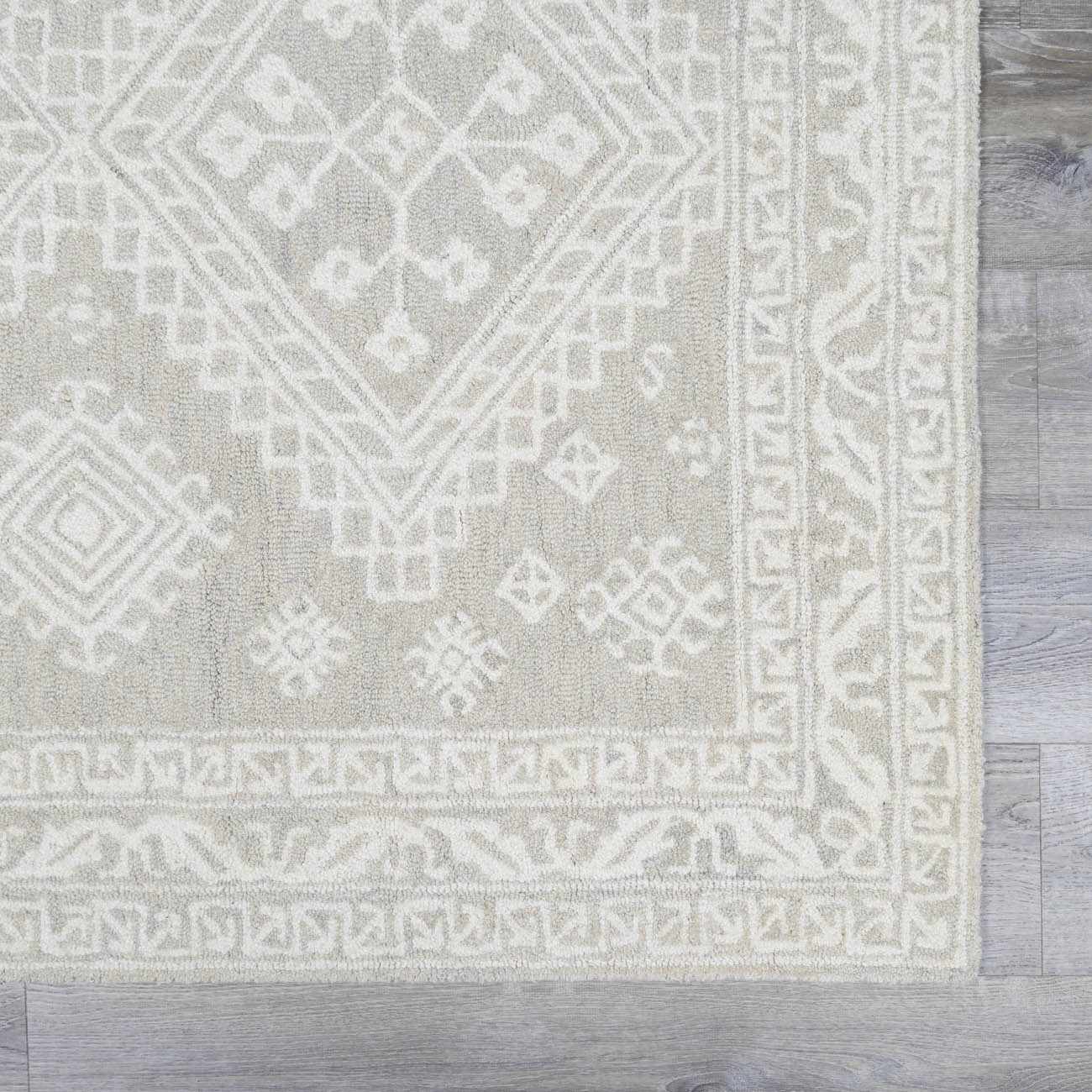 Light Gray Traditional Area Rug - Boutique Rugs