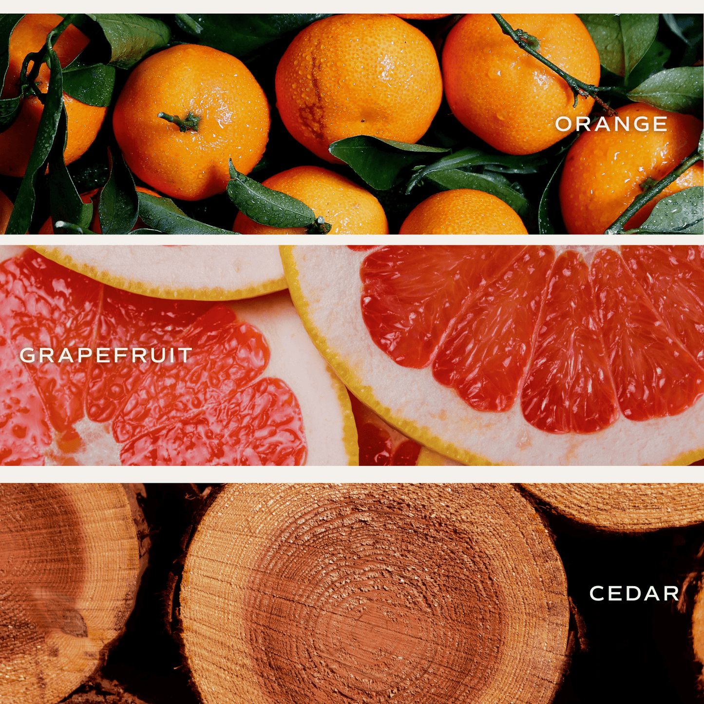 Pink Grapefruit Soy Candle - Clear Jar - 9 oz