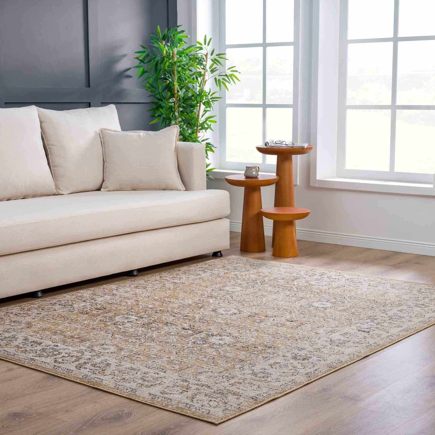 Anana Gold & Beige Area Rug - Clearance - Boutique Rugs