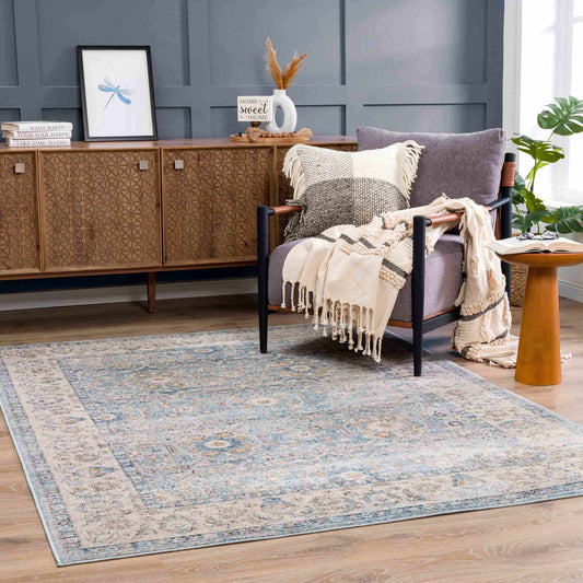 Anana Silver Blue & Beige Area Rug - Clearance