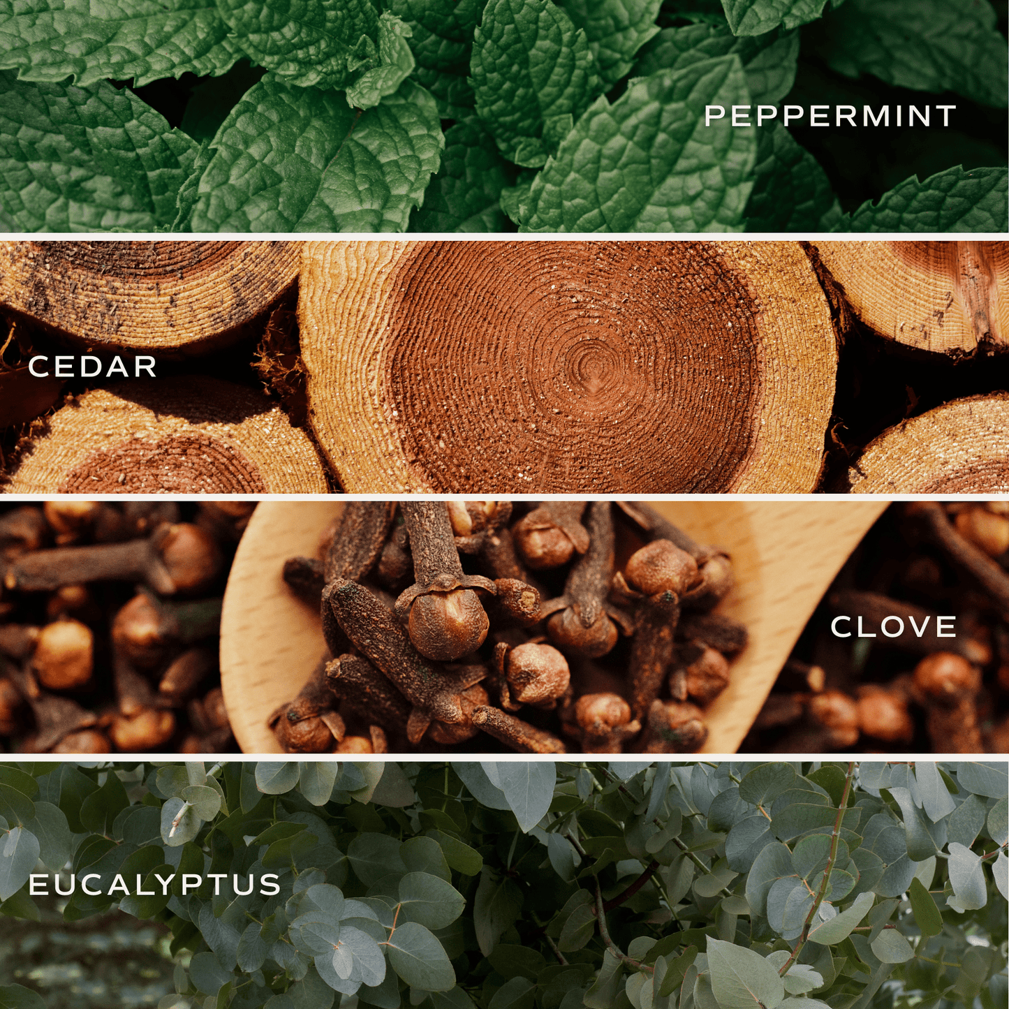 Bougie de soja relaxante - Pot transparent - 9 oz