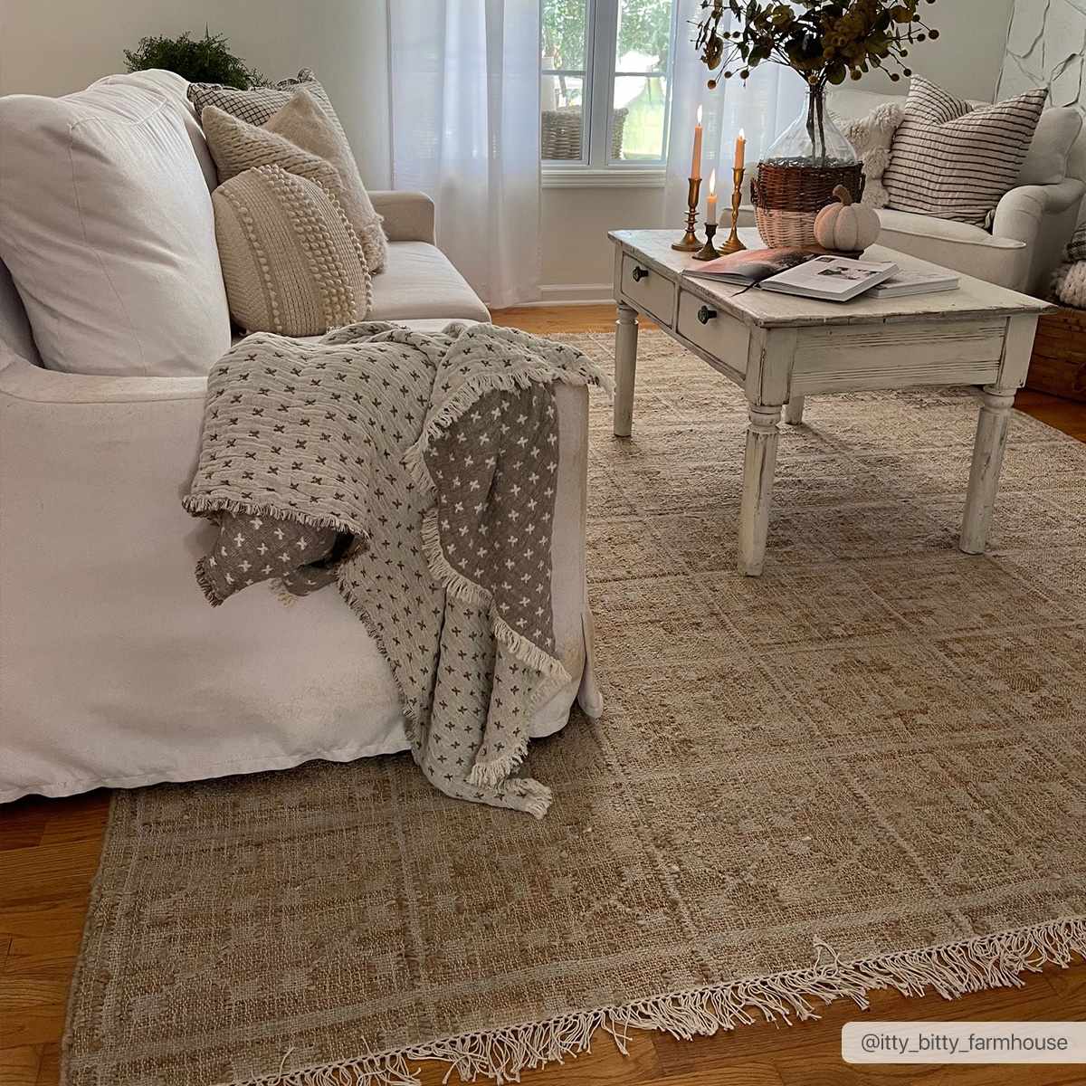 Tan Neutral Fringed Jute Area Rug - Boutique Rugs