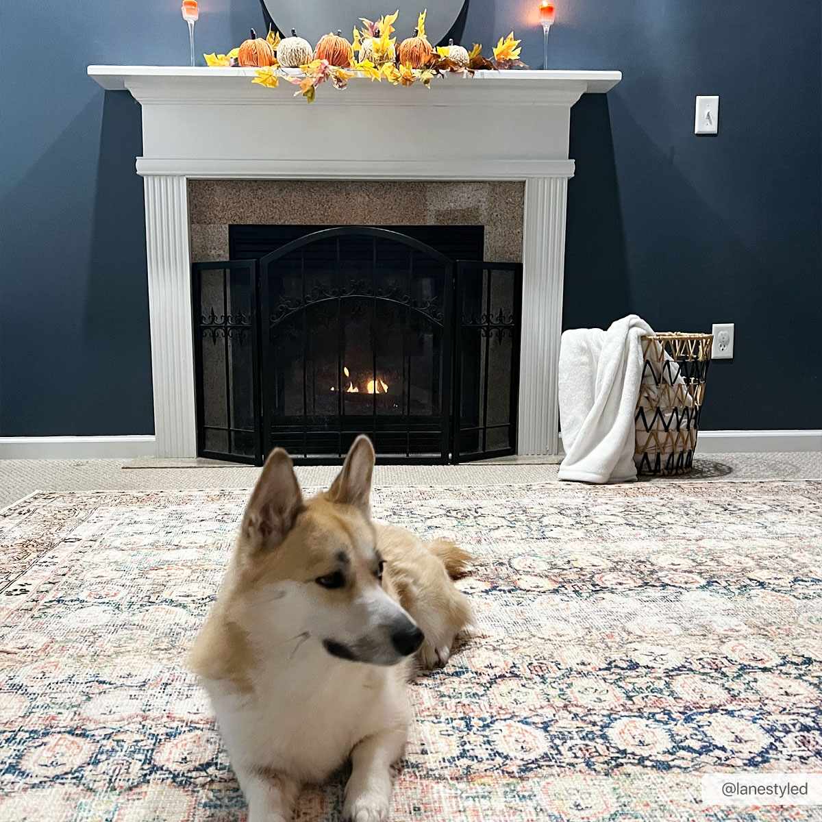 Rust Maligaya Distressed Washable Area Rug - Clearance - Boutique Rugs