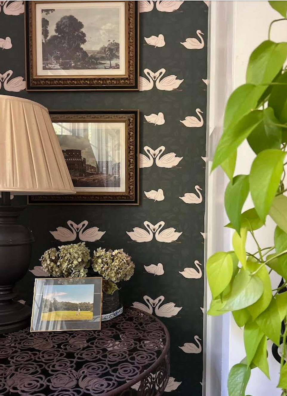 Sevan Wallpaper by Cassandra Zaniboni - Loomwell Home Goods