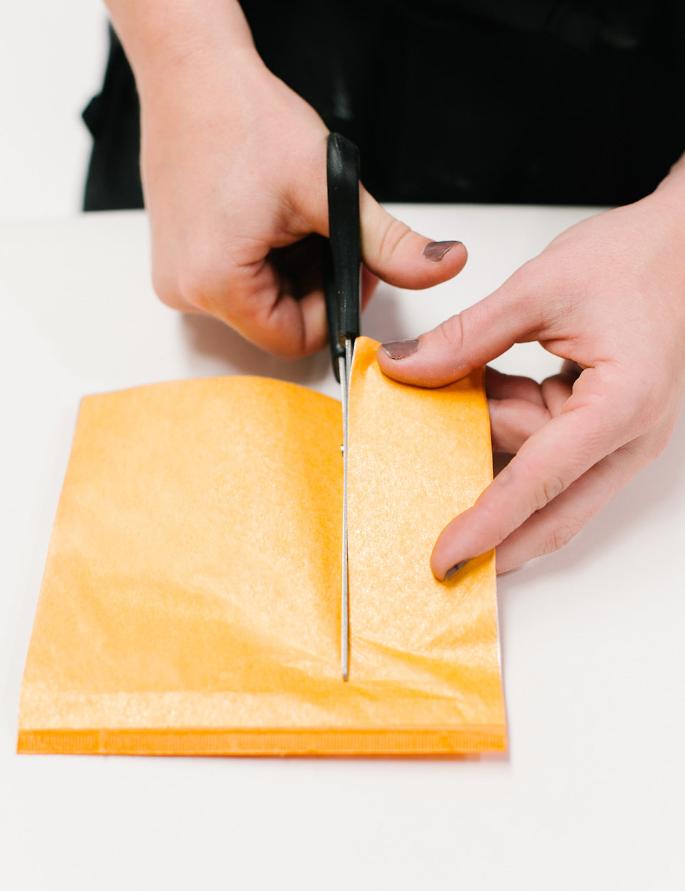 Silver Leaf - Amy Howard At Home