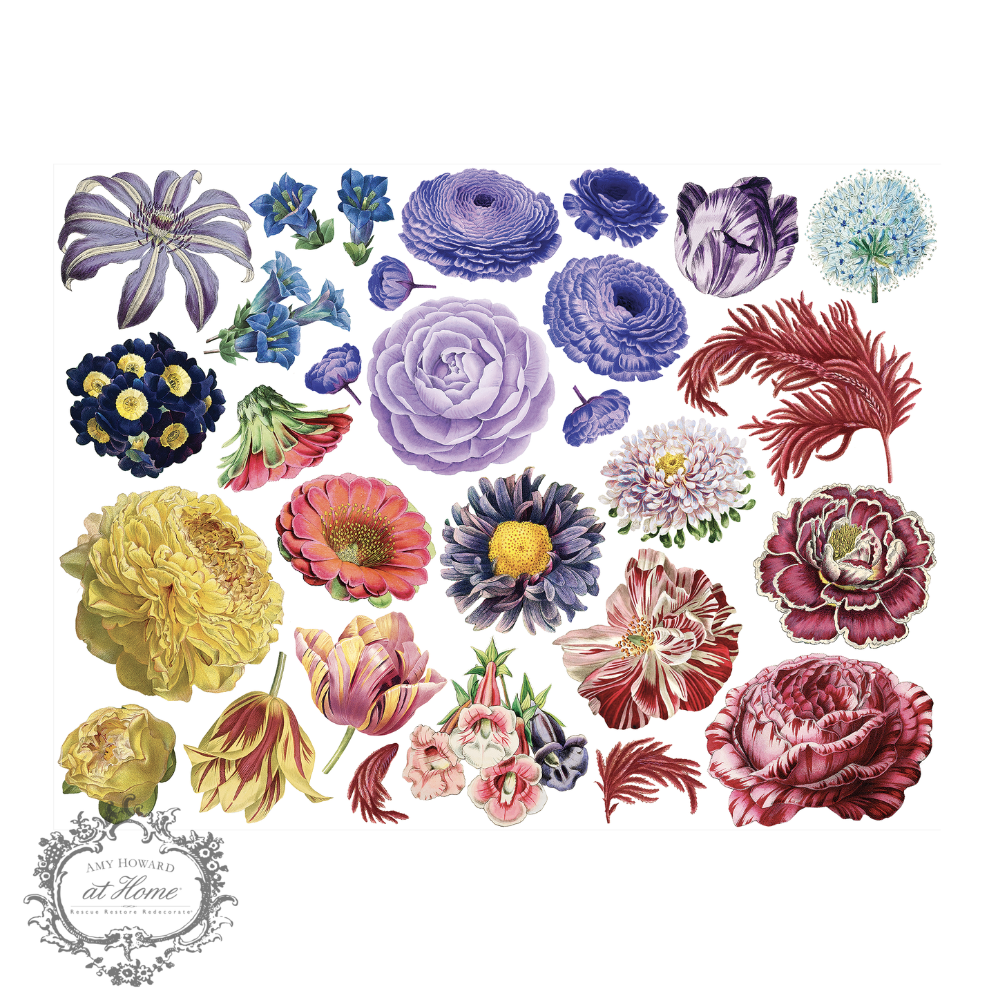 Spring In Bloom - Color Transfer 16’’x12’’ - Amy Howard At Home