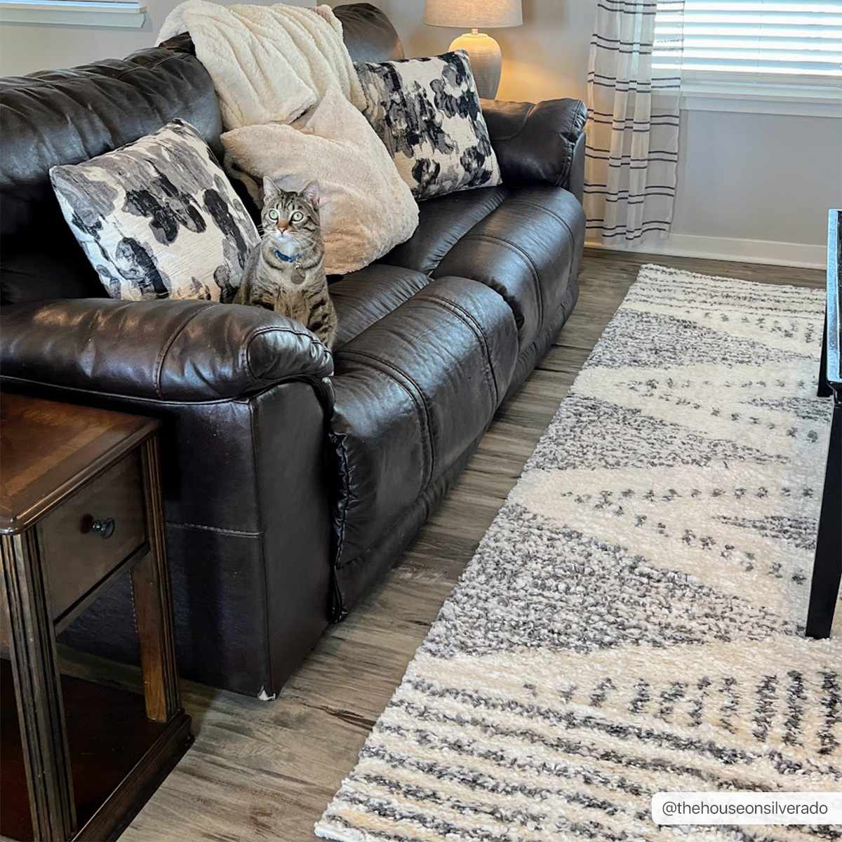 Trunding Plush Area Rug - Boutique Rugs