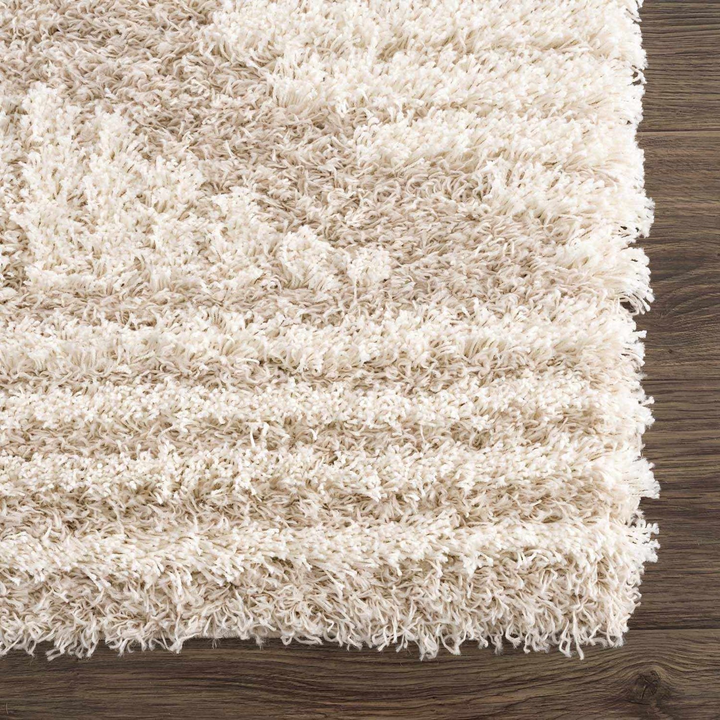 Igor Shag Area Rug - Boutique Rugs