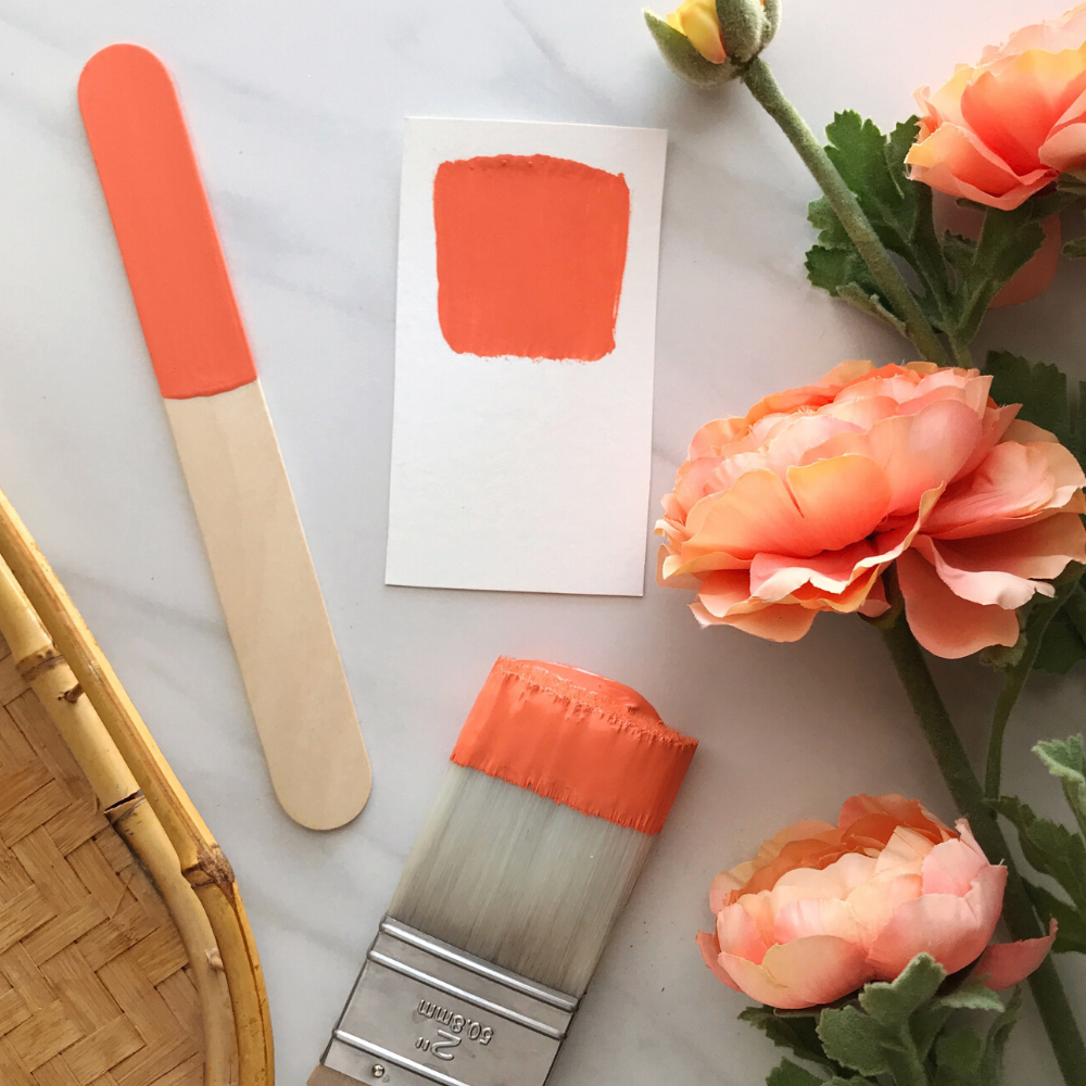 One Step Paint - Coral Sea - Amy Howard At Home