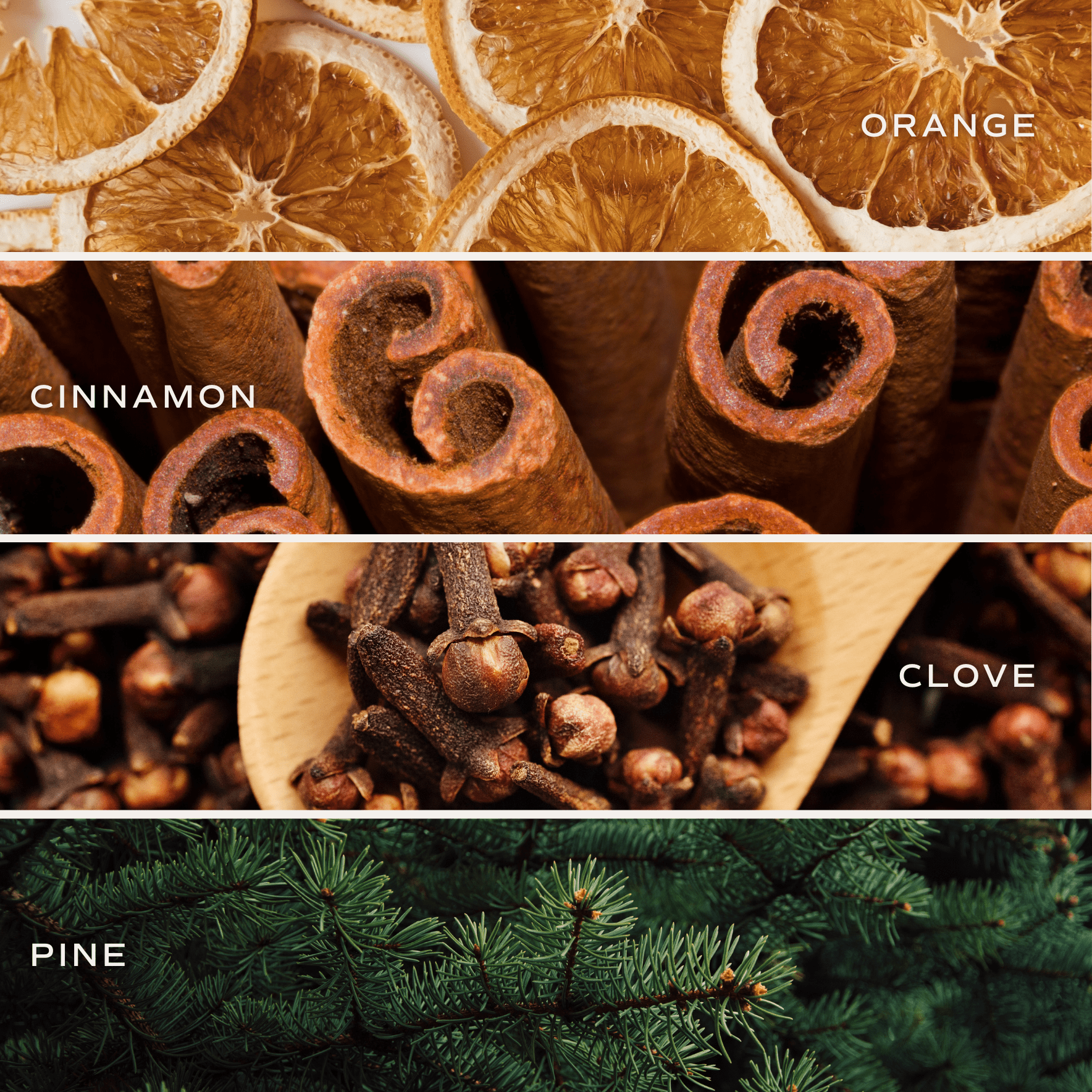 Warm and Cozy Soy Candle - Clear Jar - 9 oz - Sweet Water Decor