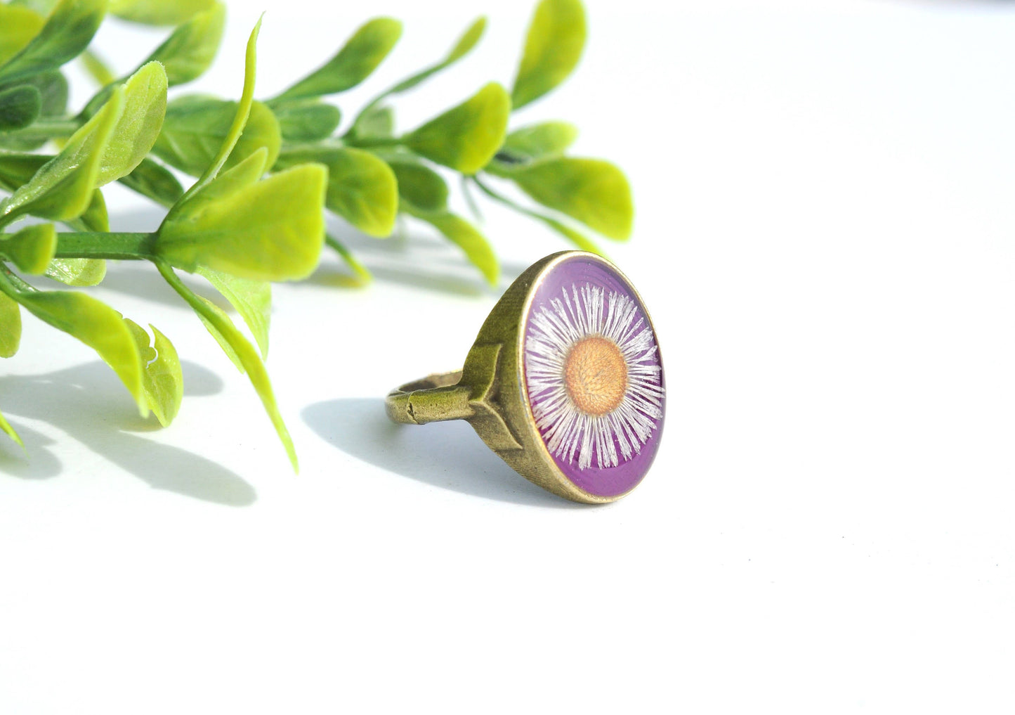 Anillo ovalado Fleabane, talla 8, flor prensada