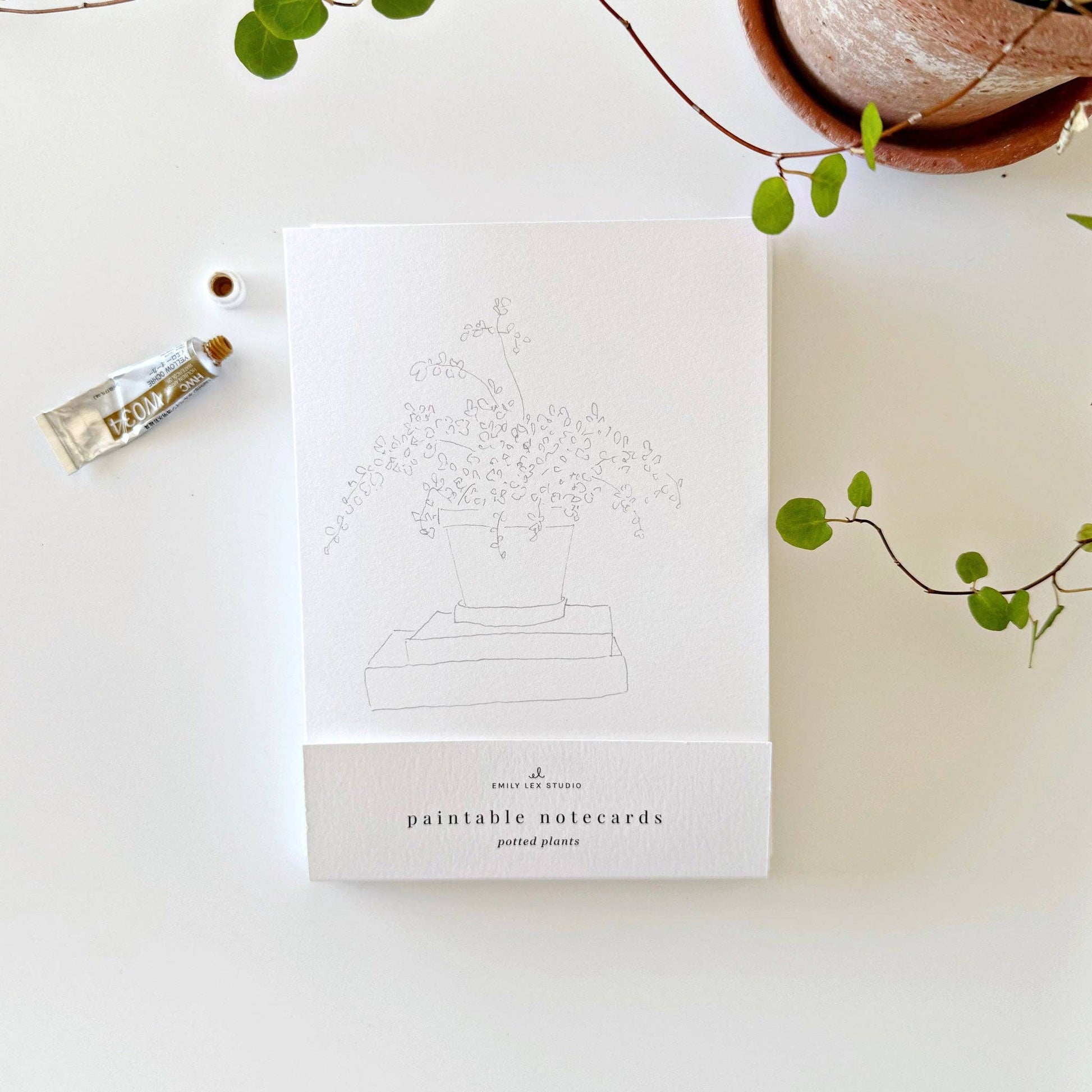 Potted Plants Paintable Notecards - emily lex studio