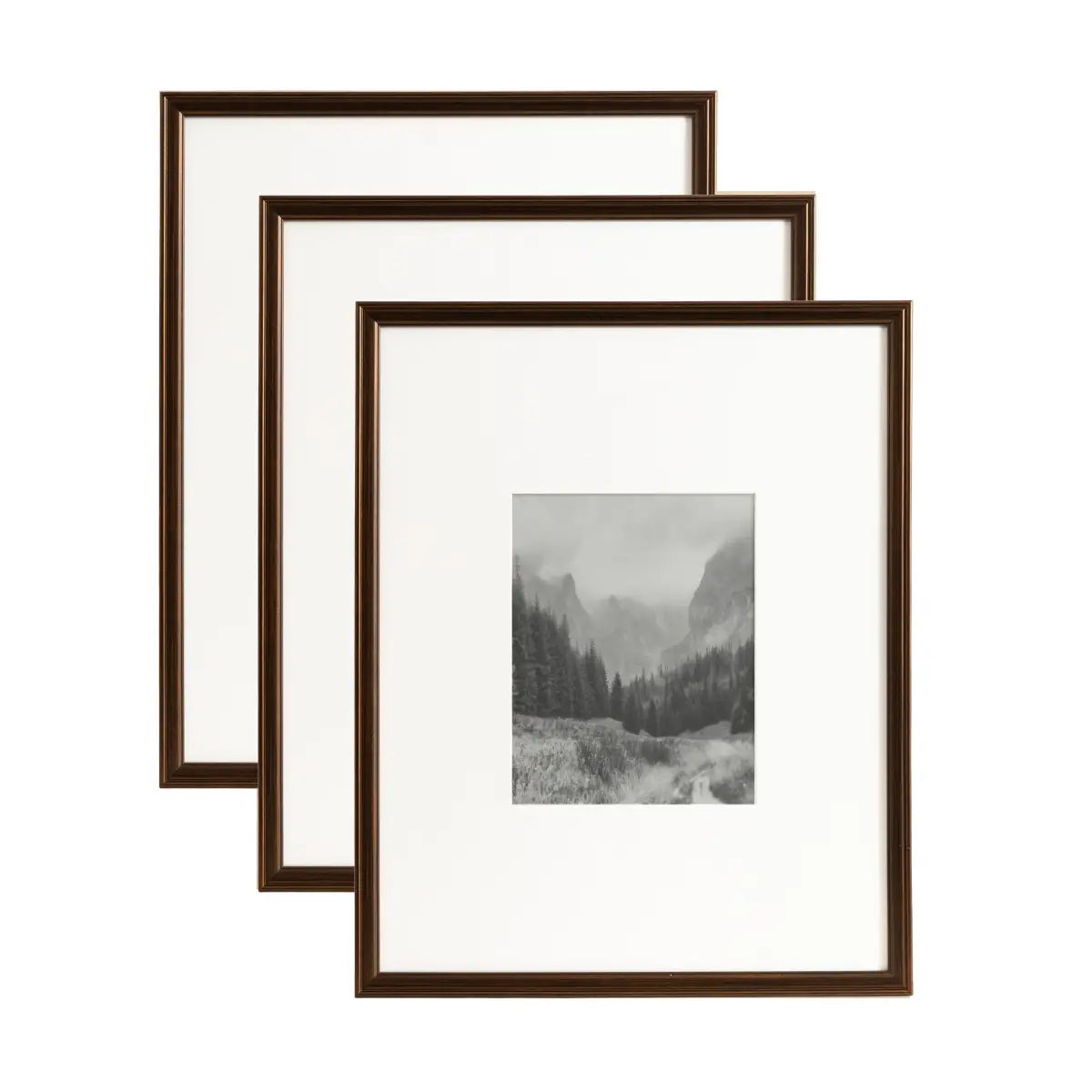 Adlynn Photo Frames - Set of 3 - Bronze / 16x20 matted to 8x10 - kateandlaurel