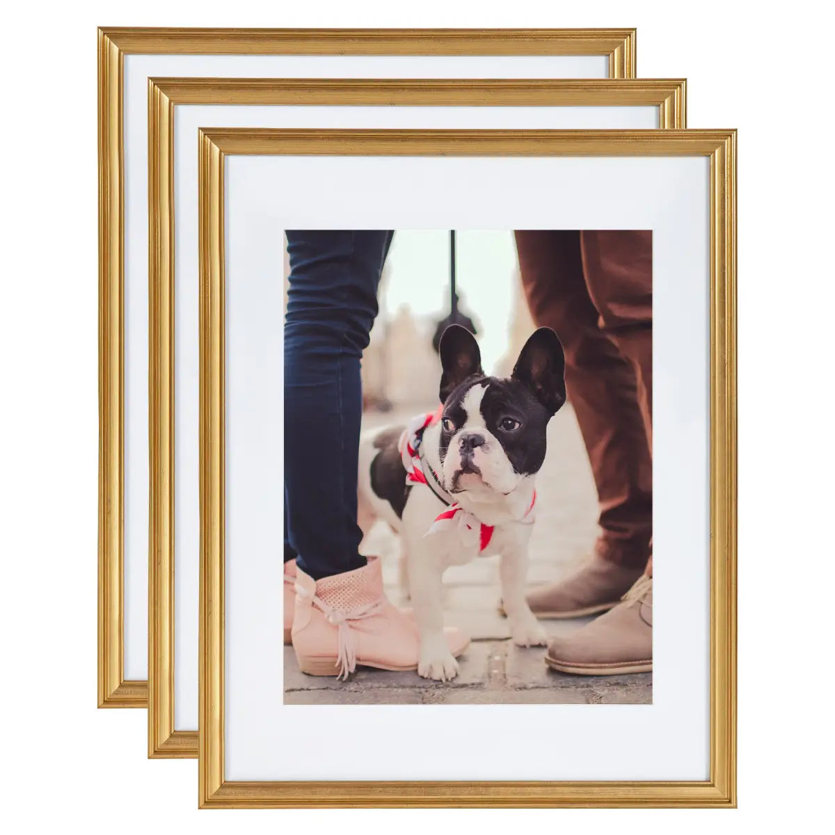 Adlynn Photo Frames - Set of 3 - Gold / 14x18 matted to 11x14 - kateandlaurel